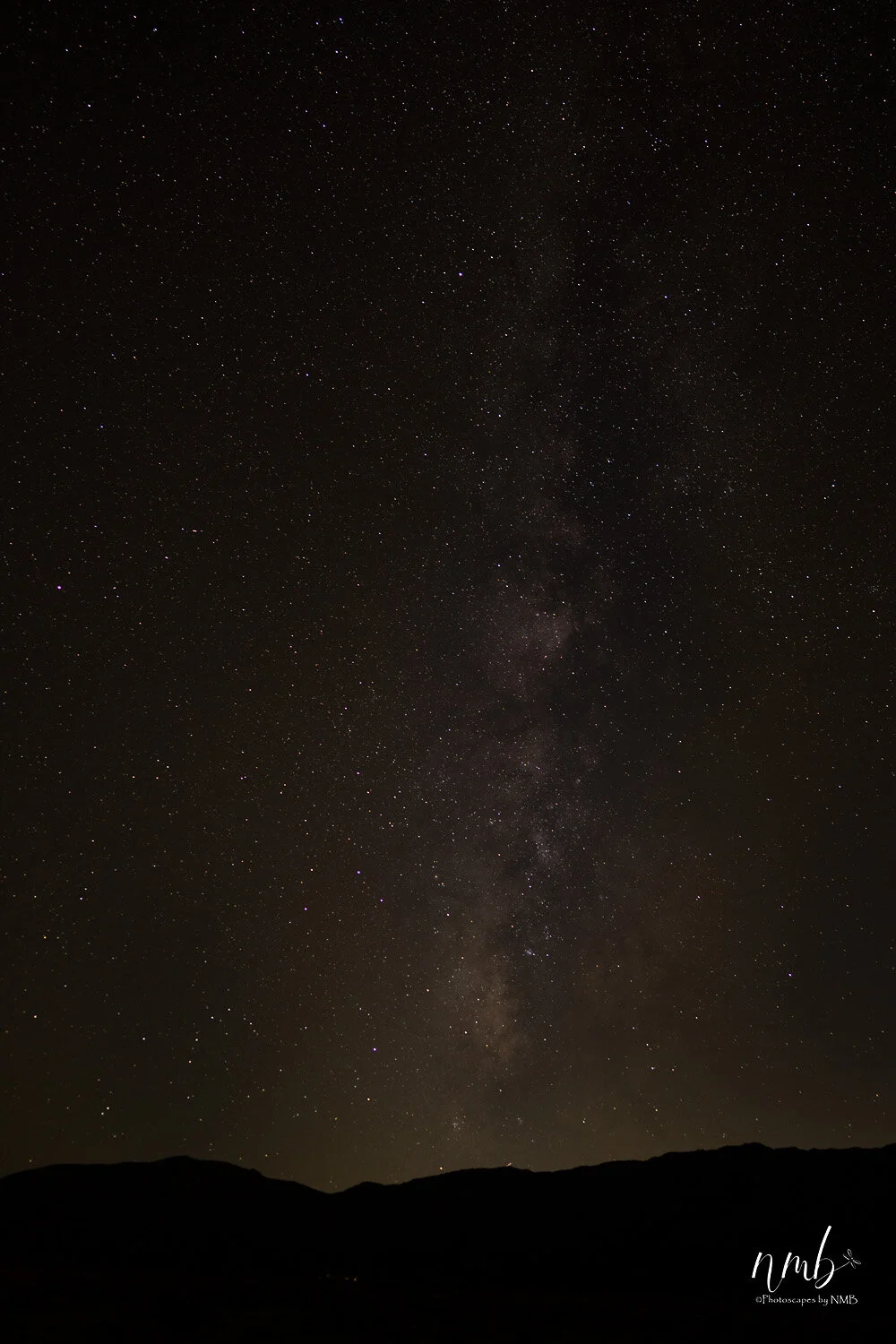 022borrago springs 080521  (1).jpg