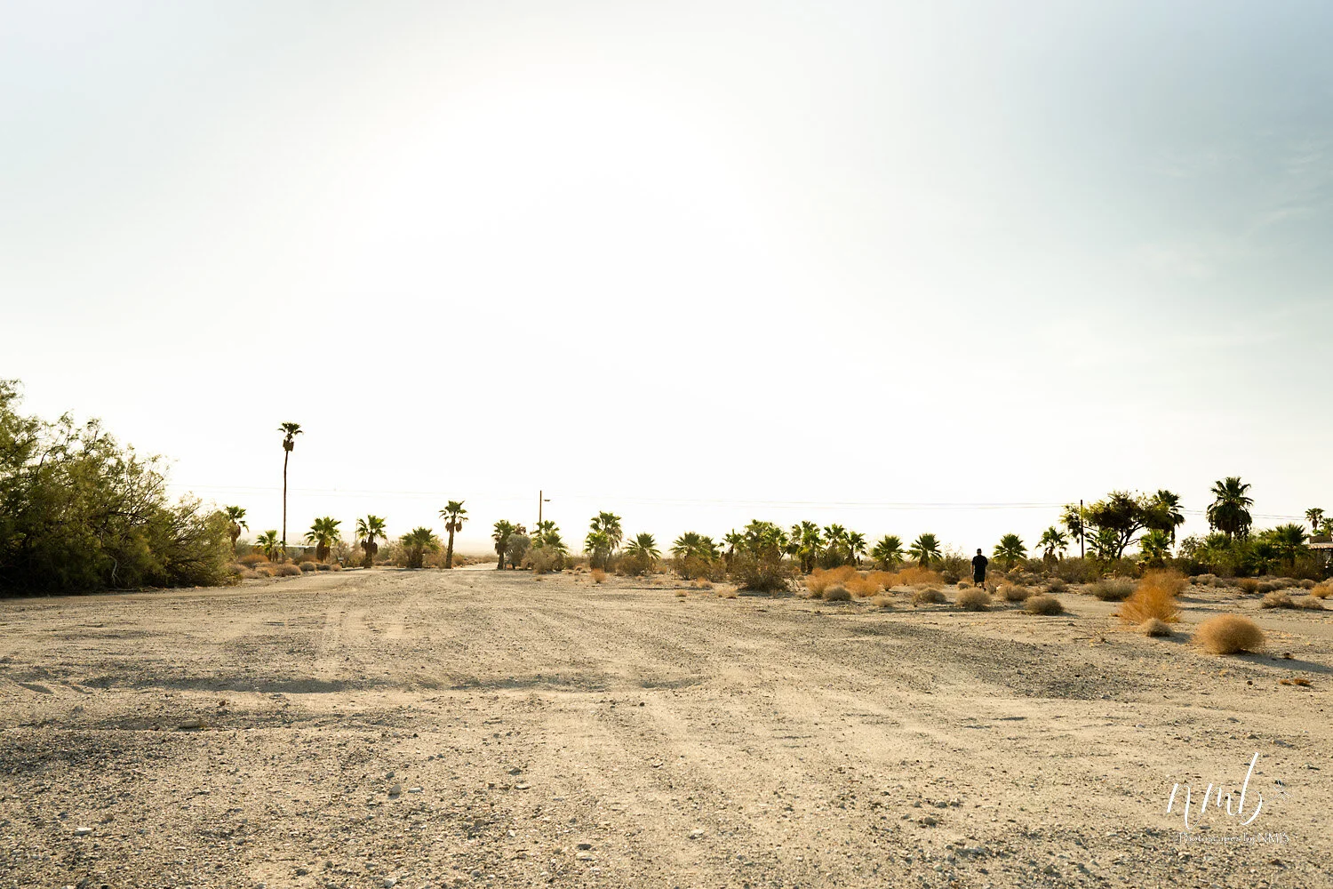 033borrago springs 080521 .jpg