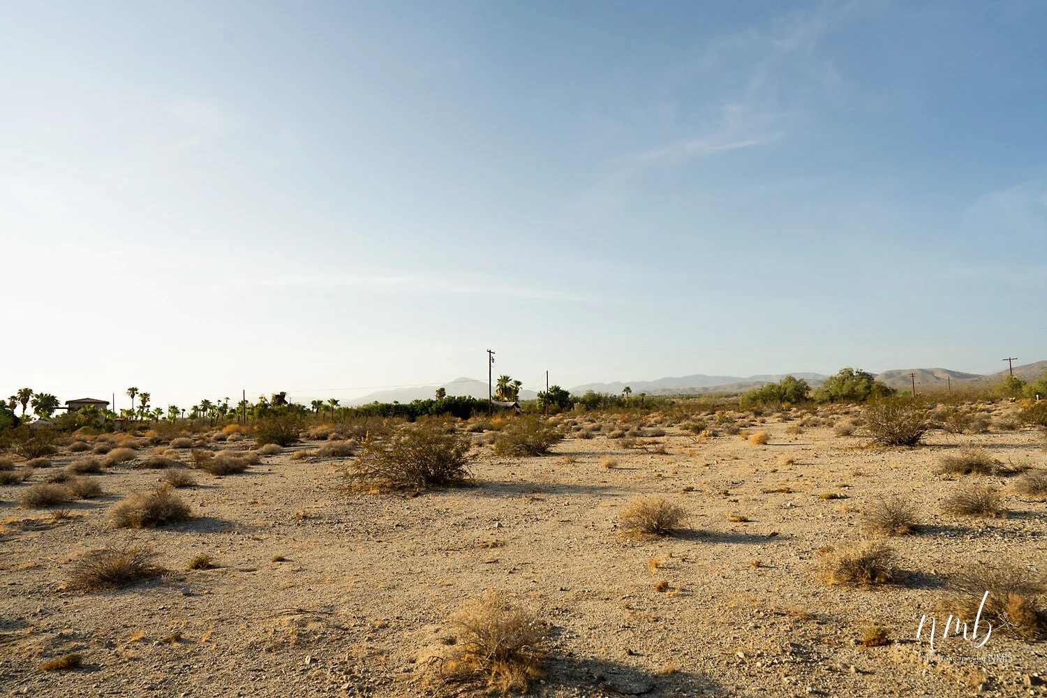 031borrago springs 080521  (1).jpg