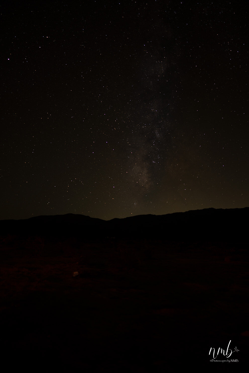 020borrago springs 080521  (1).jpg