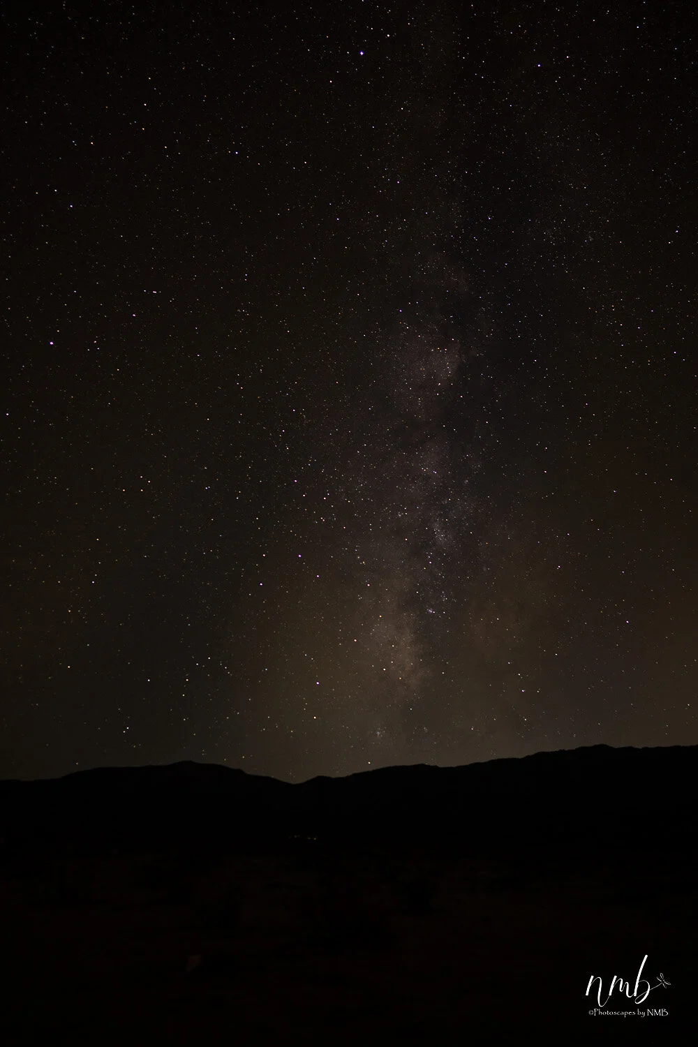 002borrago springs 080521  (1).jpg