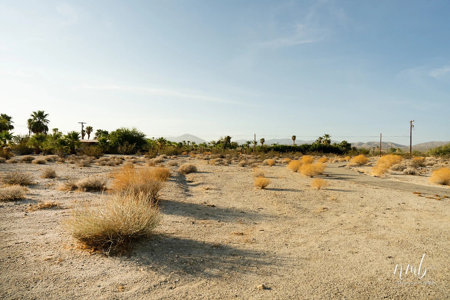 034borrago springs 080521  (1).jpg