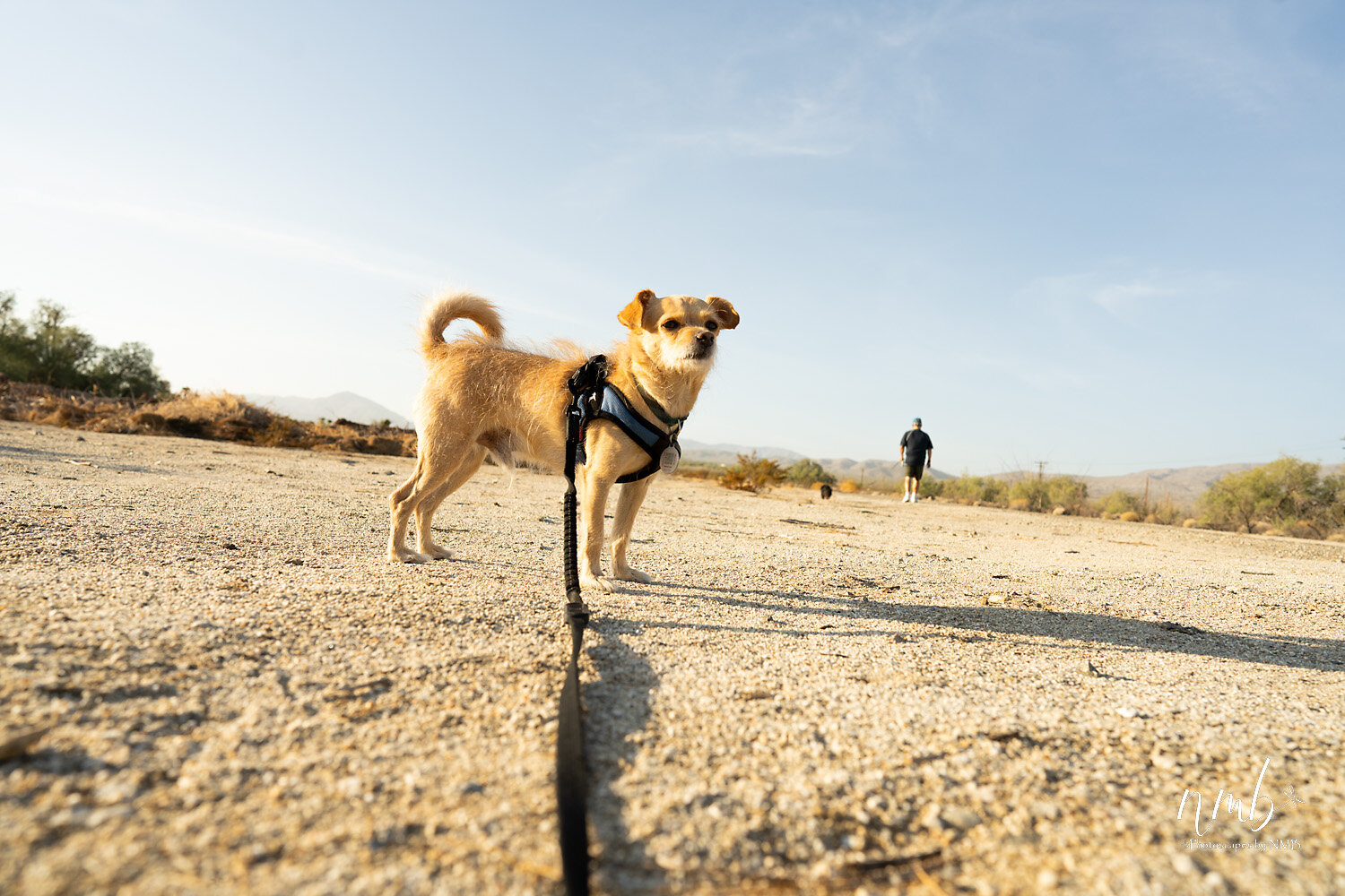 030borrago springs 080521  (1).jpg