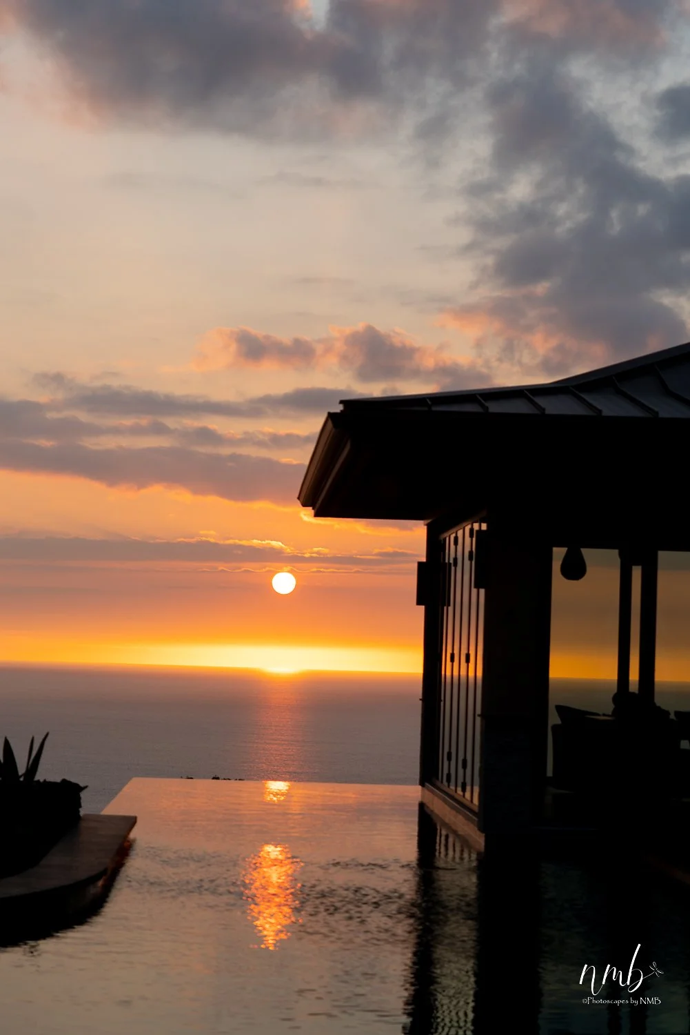 002dec hawaii 2021 .jpg