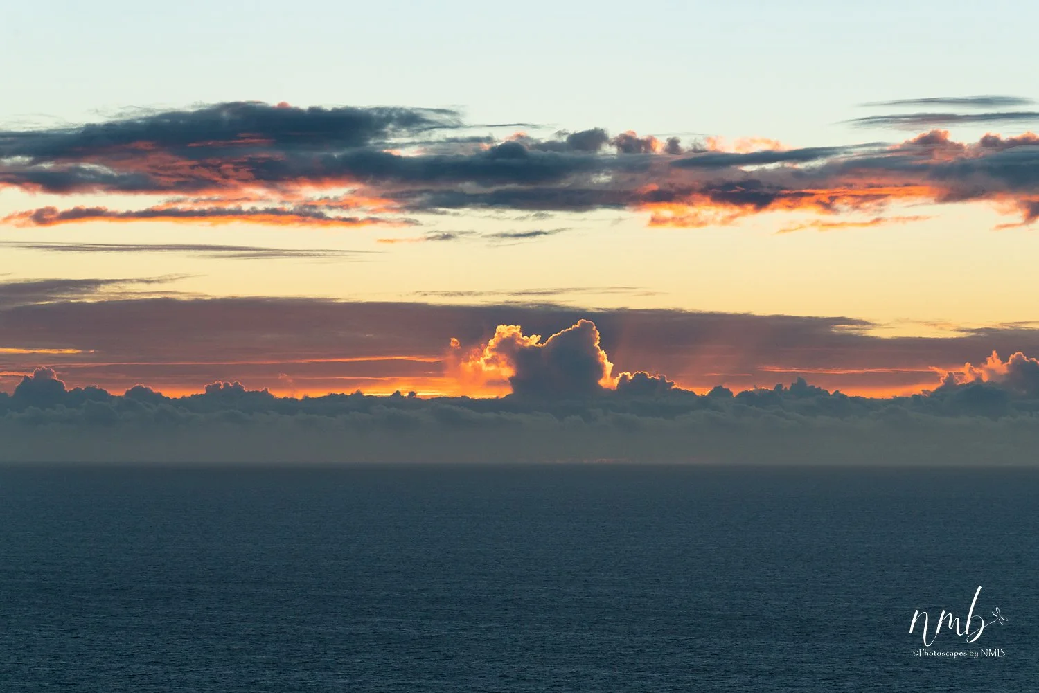 003dec hawaii 2021 .jpg