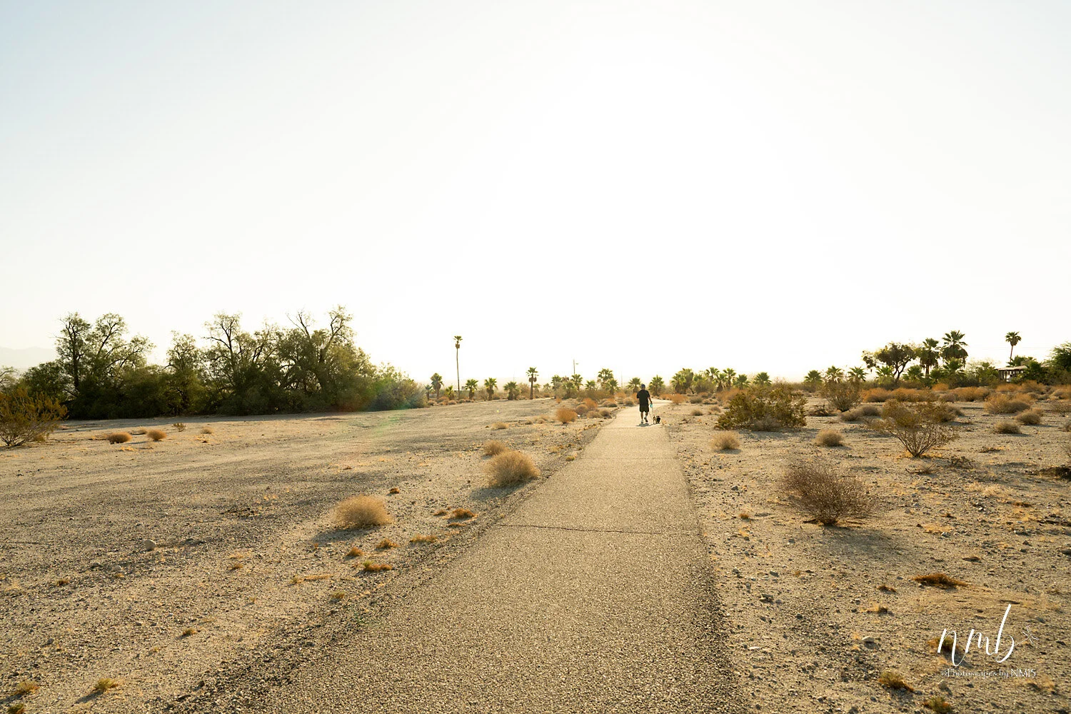 032borrago springs 080521 .jpg