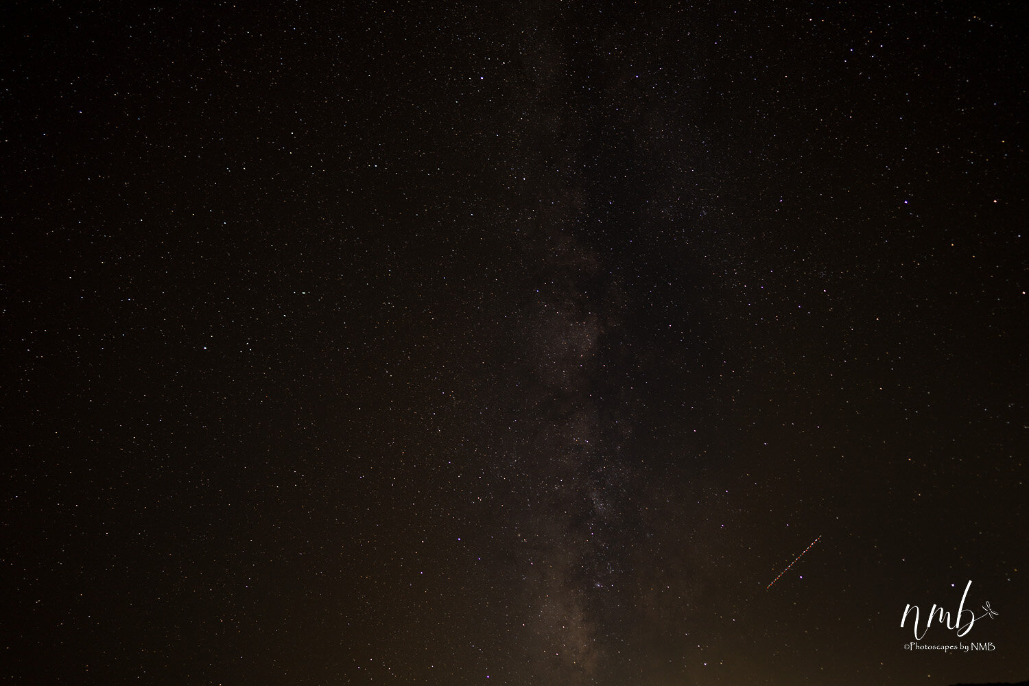 003borrago springs 080521  (1).jpg