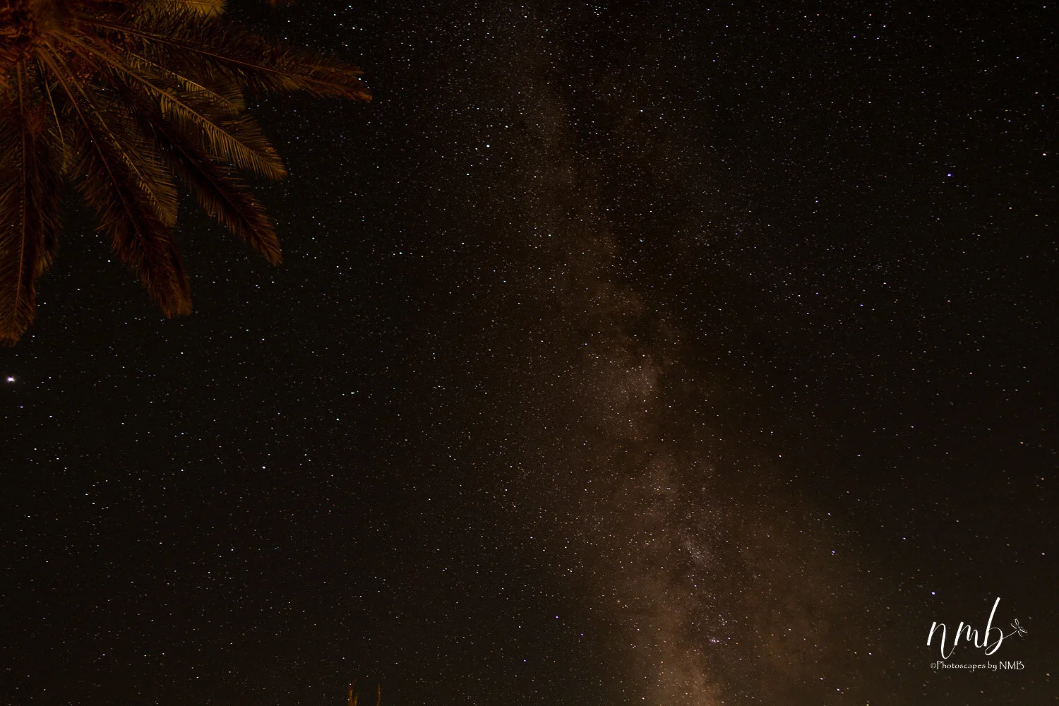 015borrago springs 080521 .jpg