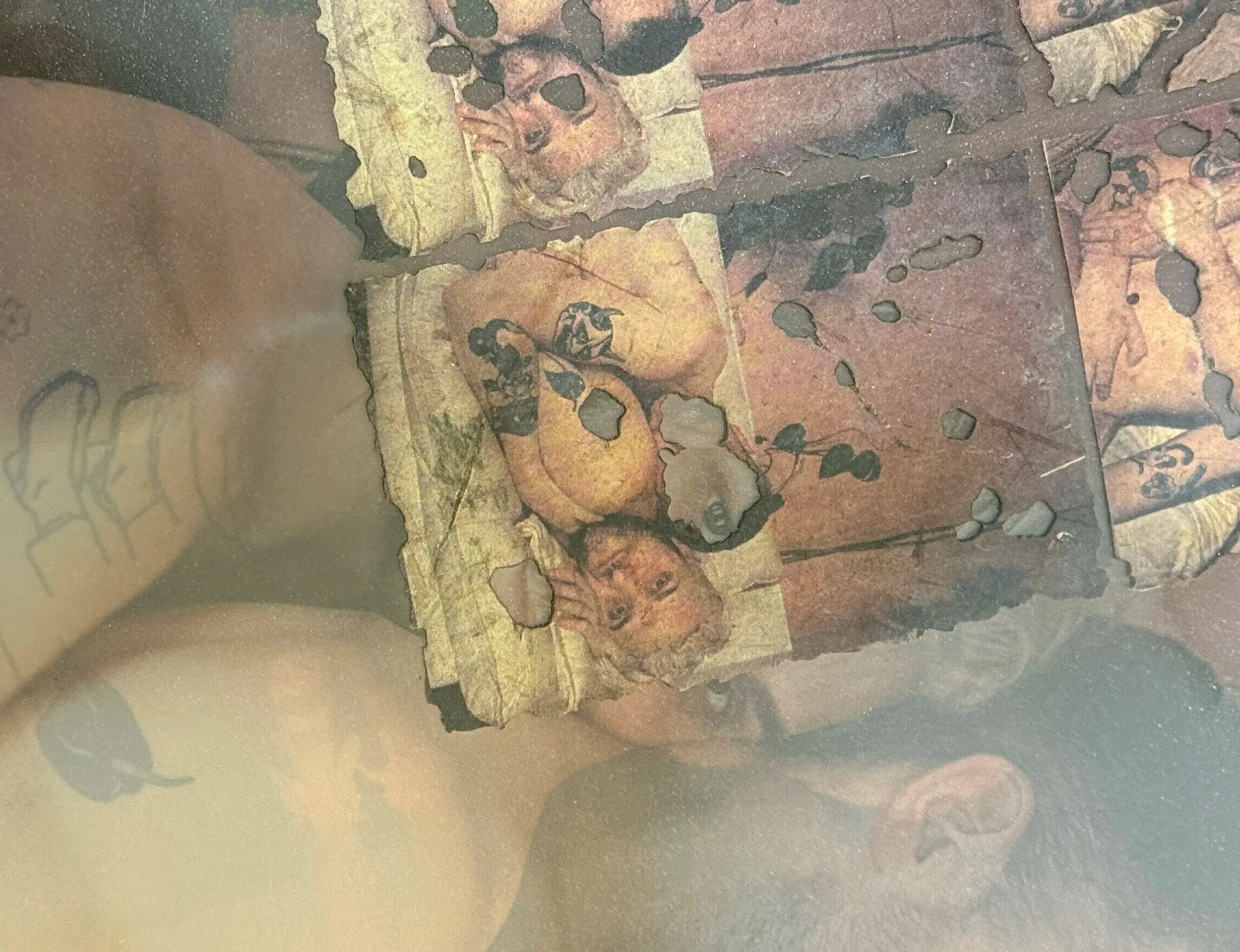 Christina Yao / Near or Far / 11.28.2025 - 12.18.2025