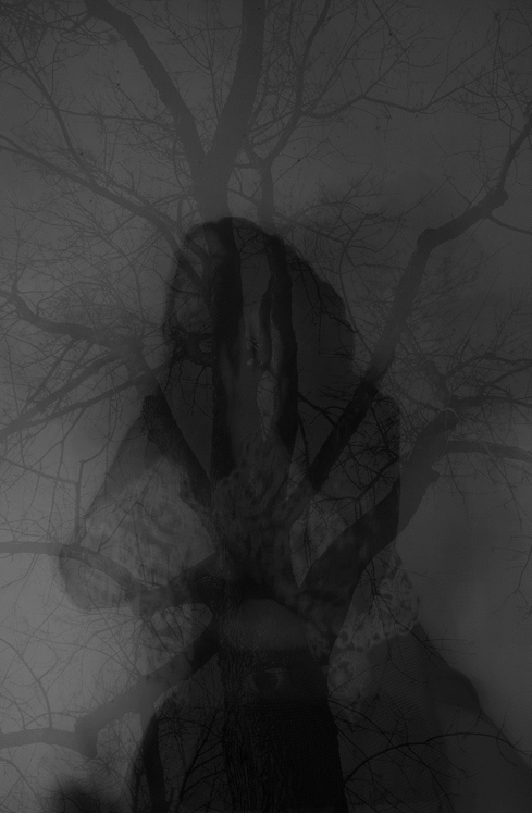 Screen Shot 2022-02-04 at 11.43.23 AM.png