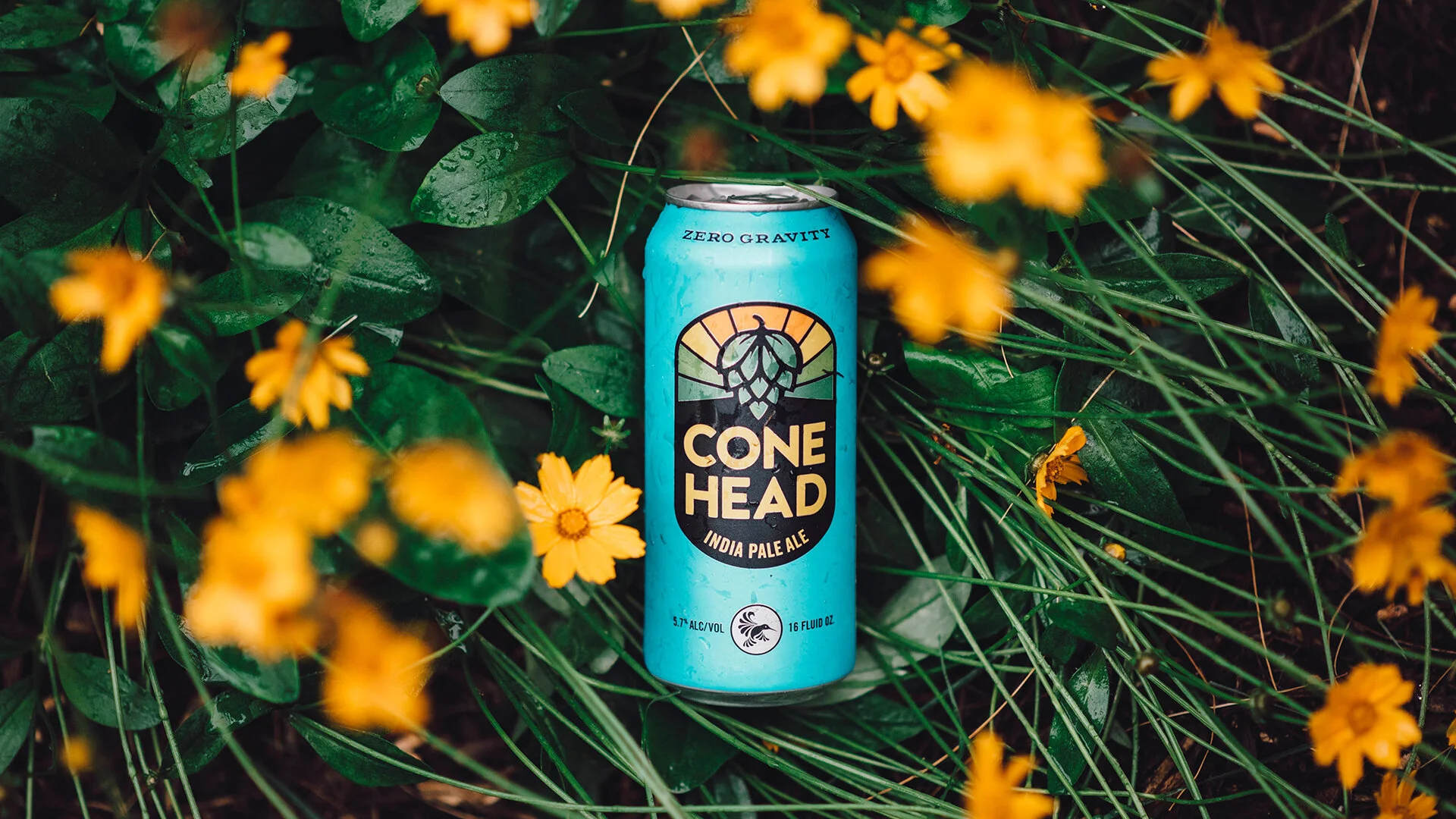 Conehead — Zero Gravity