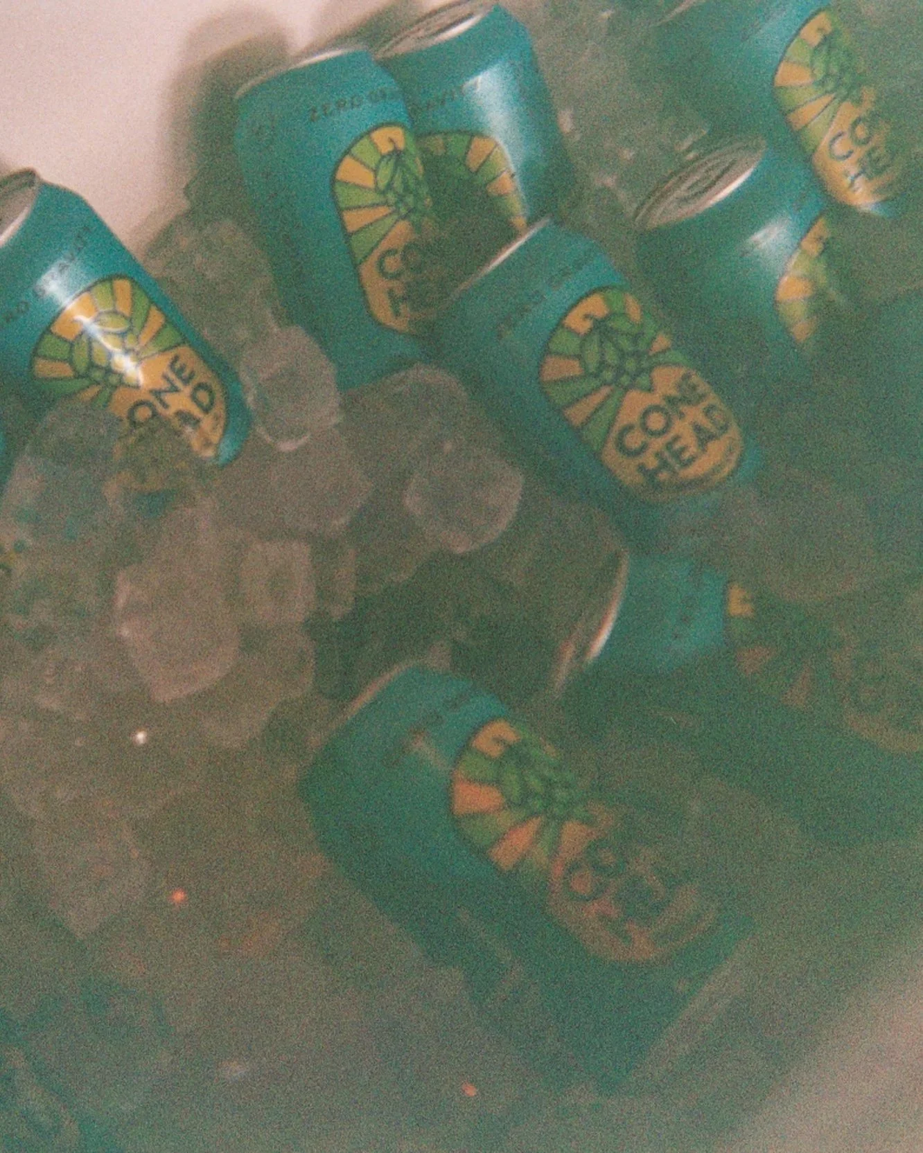 ZG_PS_031_DisposableCameras_044.jpg