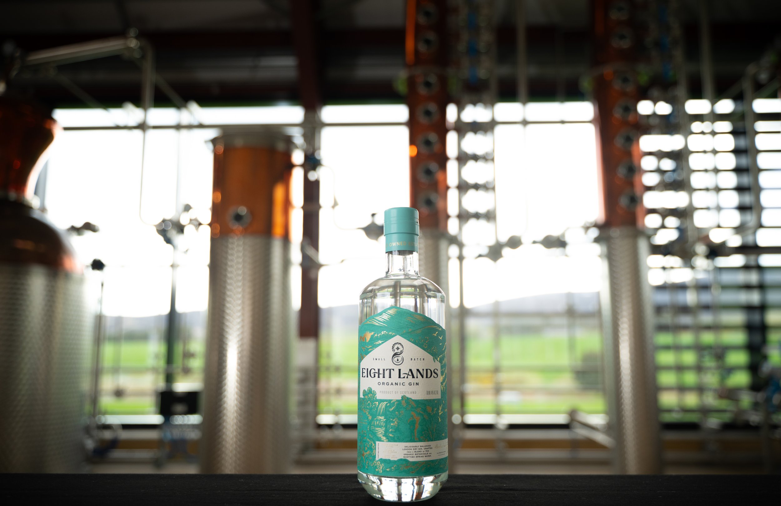 SCT_Gin and vodka0105266.jpg