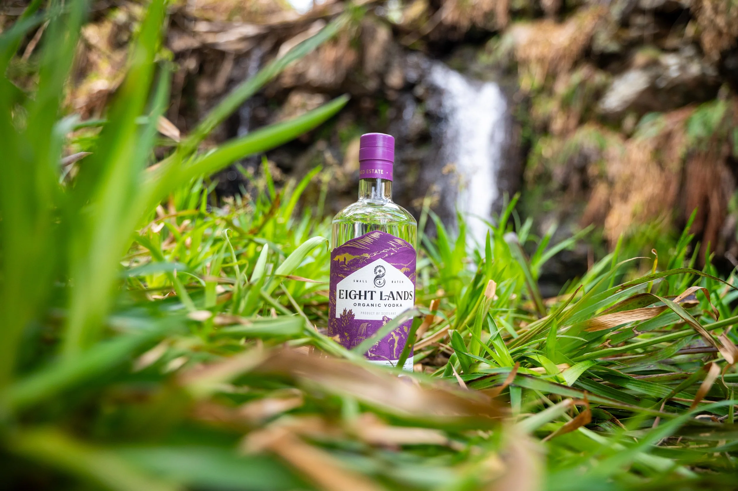 SCT_Gin and vodka01052662.jpg
