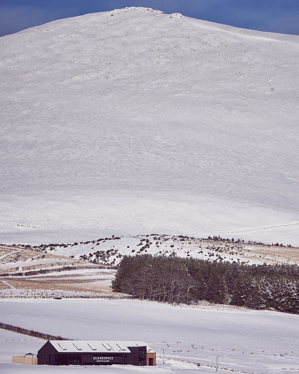There is something magical about Glenrinnes in the snow, though winter can bring challenges here. This morning we arrived to find two abandoned vehicles on our driveway, thankfully now reunited with their owners!