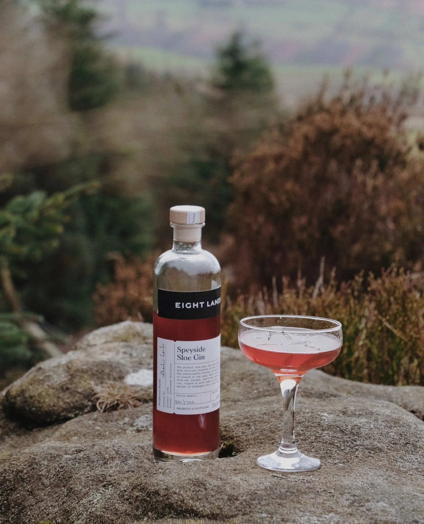 For those skipping Dry Jan, a slow New Year&rsquo;s Day walk and a splash of Sloe Gin make a fine pairing. Light, dry and full of red-berry character, it brings just the right warmth to a cold January 1st.⁠
⁠
📸: @emmajaynelavelle