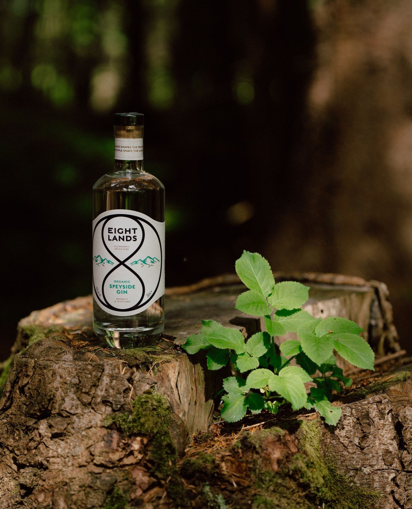 Eight Lands was created for those with a spirit of adventure (even if that adventure is taking on the local hiking trails with a really good coat&mdash;and a bottle of our finest Gin or Vodka) 🍃⁠