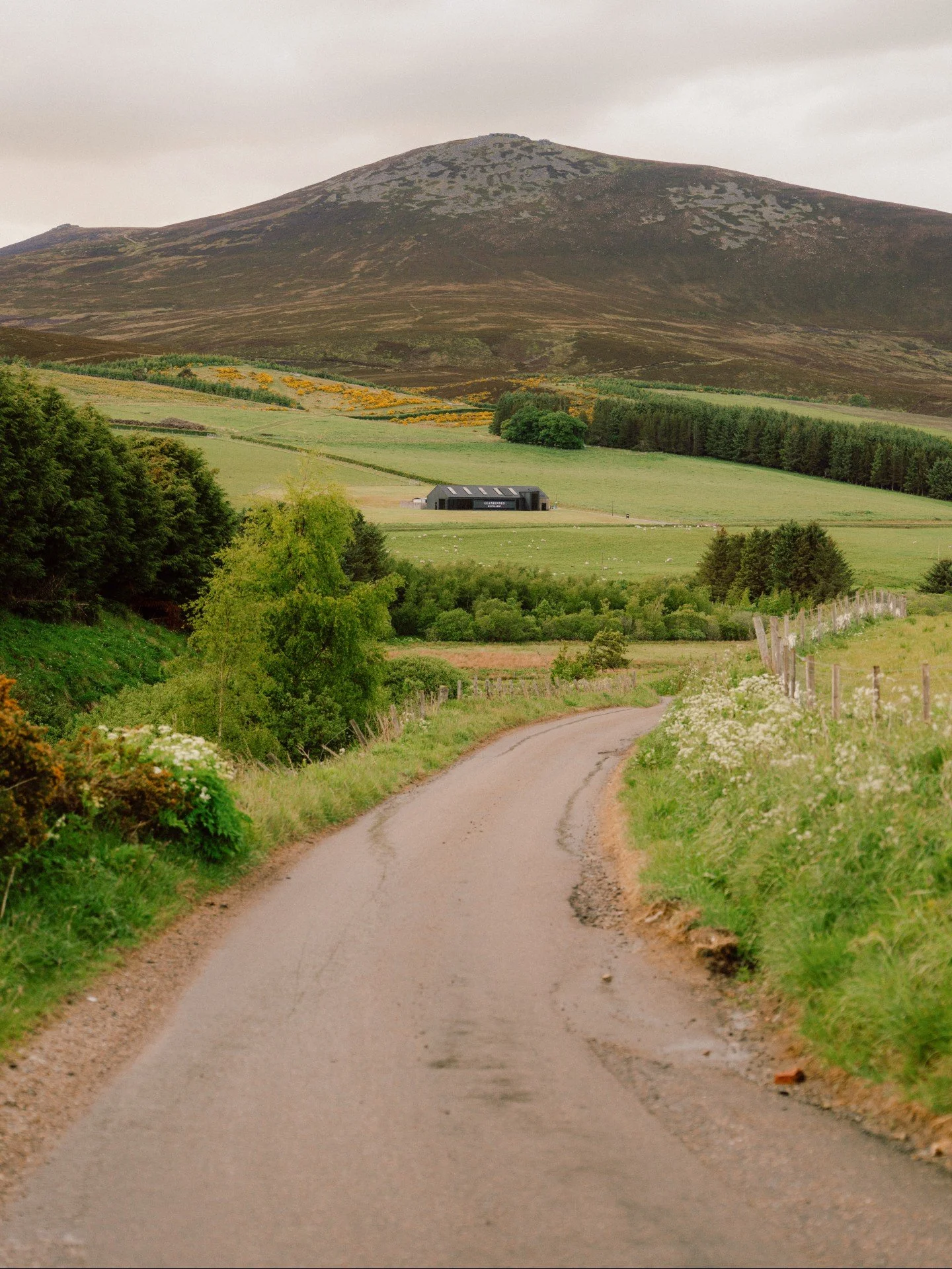 Every good road leads somewhere worth going. 

This one winds through Glenrinnes to our distillery at the foot of Ben Rinnes, where wild views, good spirits, and a warm welcome make for a rather fine afternoon.

Book a distillery visit through the li