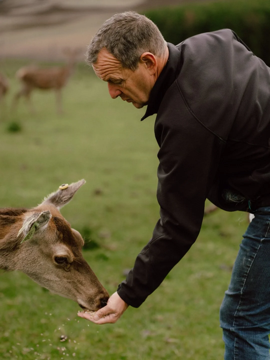 Meet our Estate Manager, Alister. His deep understanding of Glenrinnes and the surrounding area, as well as our farming activities, makes him a fascinating guide during our VIP Tours. If you have ever wanted to shake a Martini on top of a mountain, A