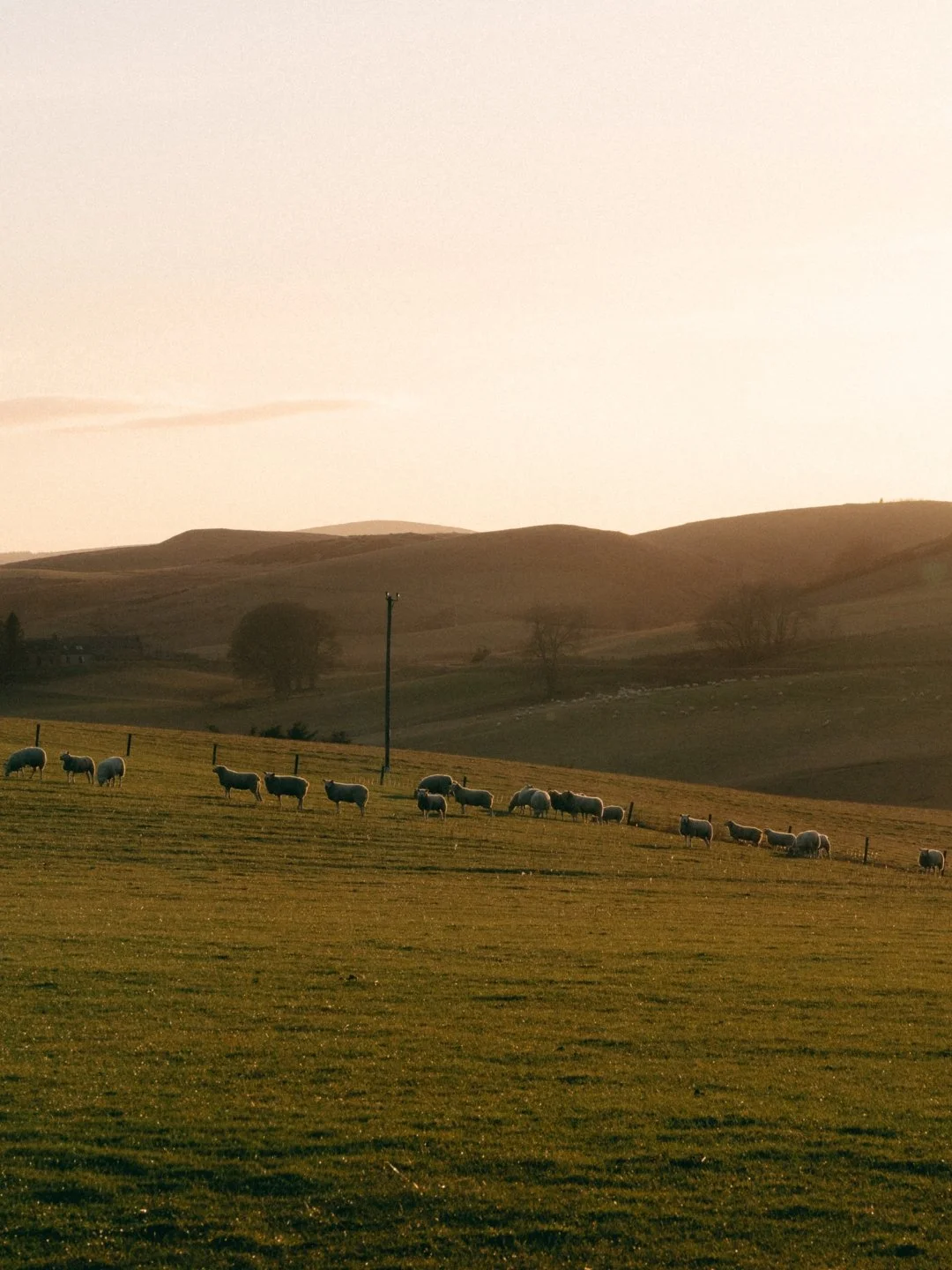 And just like that, autumn has officially arrived.

Today marks the autumn equinox and the start of a new season in Speyside. There&rsquo;s plenty to look forward to over the next few months. We&rsquo;ll be sharing some of our favourite seasonal drin