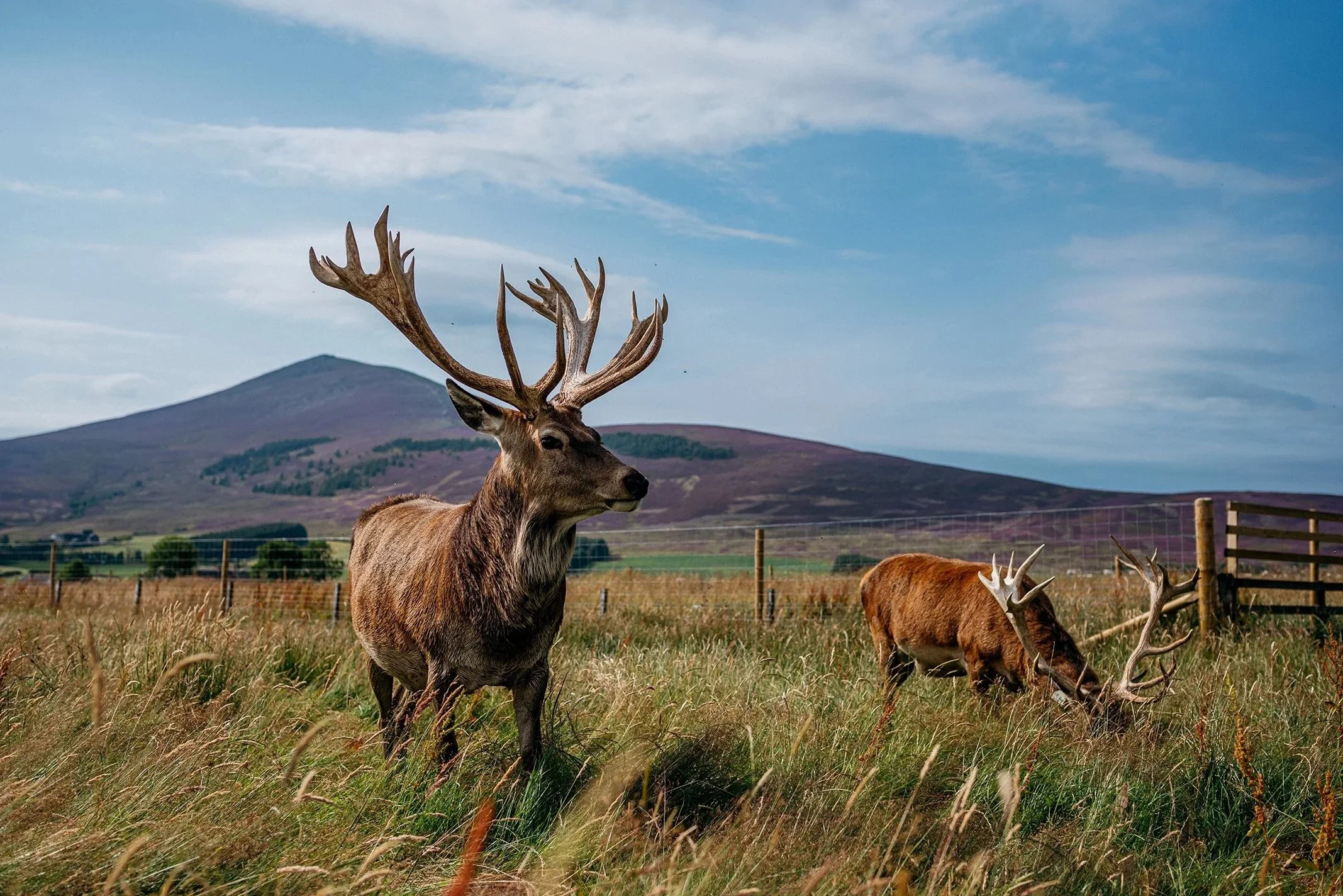 EightLands_August_Web_0169 2.jpg