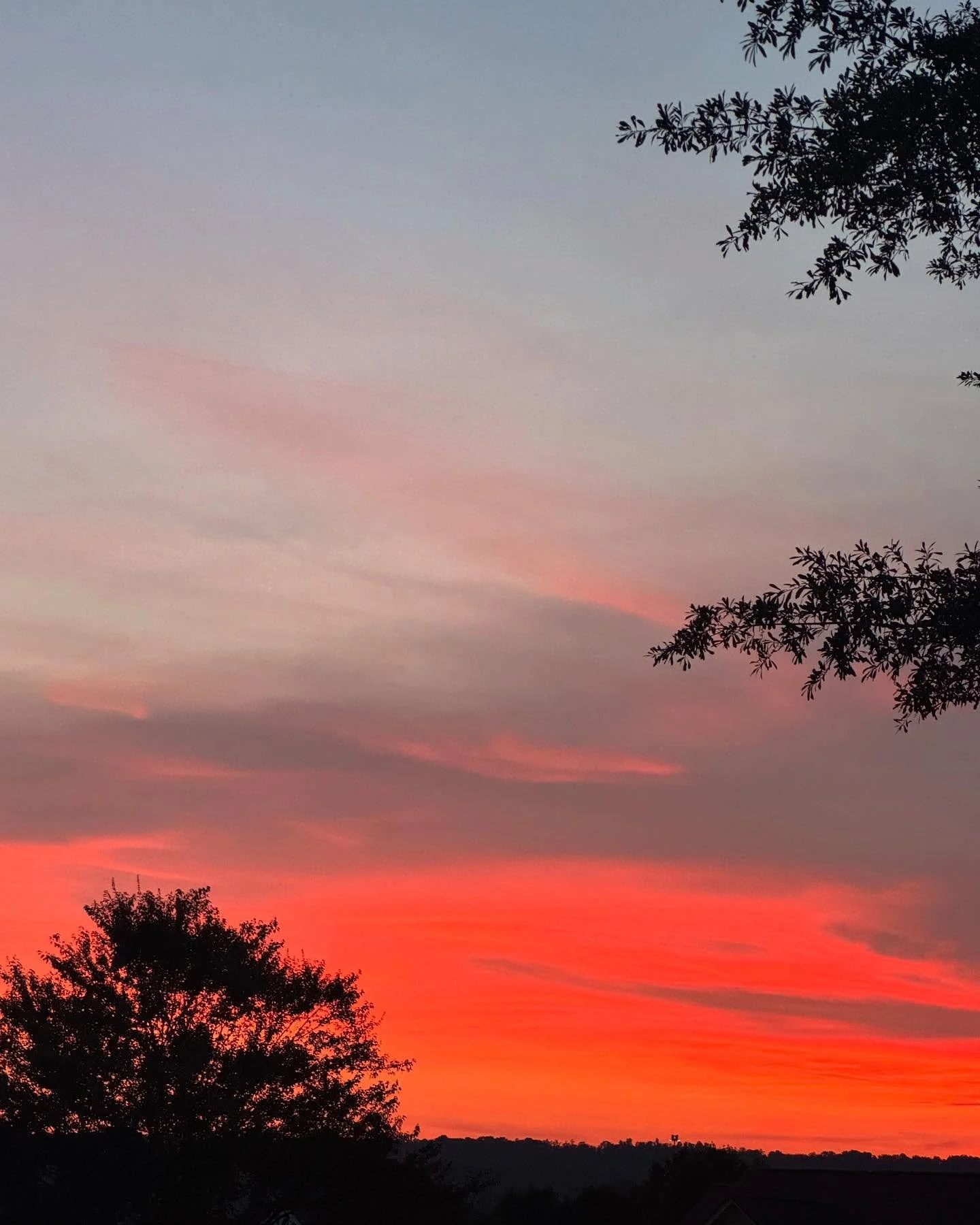 Sunset through the trees wasn&rsquo;t enough; walked up the hill #godscreationisaweome #sotl #lovethesunsets #blessed #nofilter