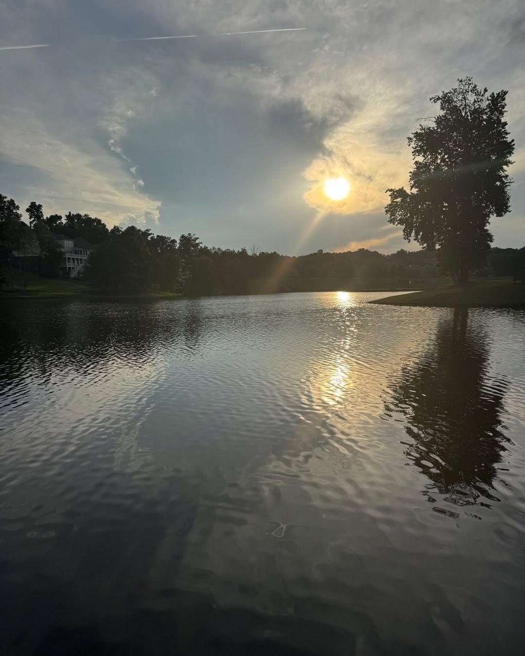 Beautiful view on my neighborhood walk! #sotl #flowerybranch #godscreationisawesome #blessed #nofilter