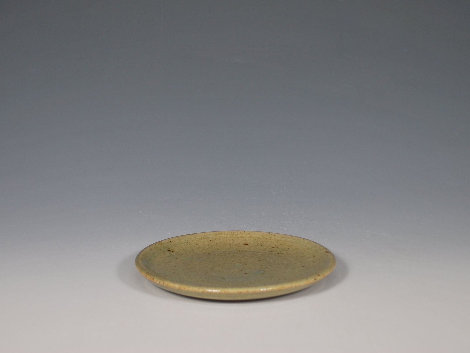 5.25PLATE1_3.jpg