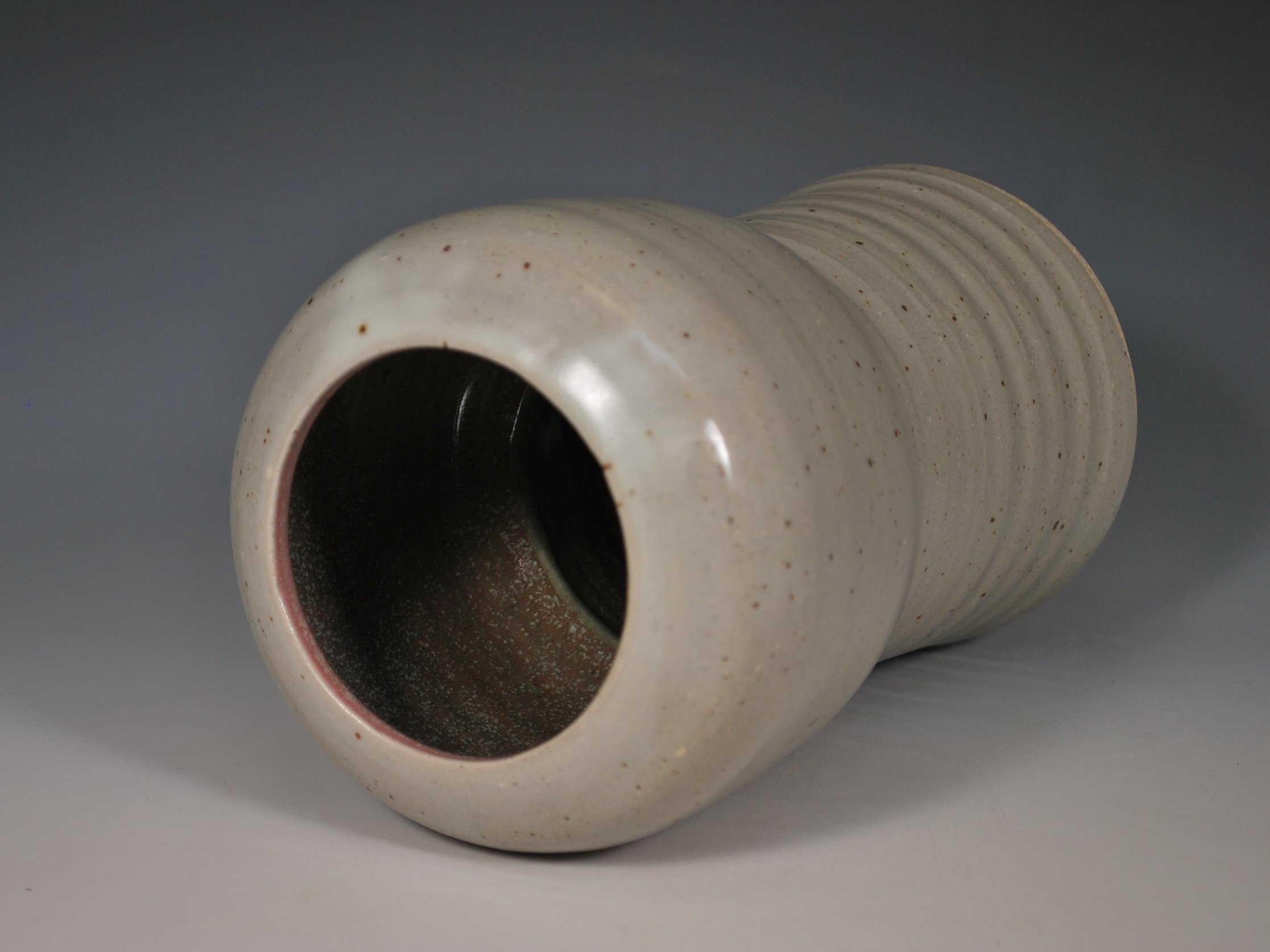 LGVASE1_2.jpg