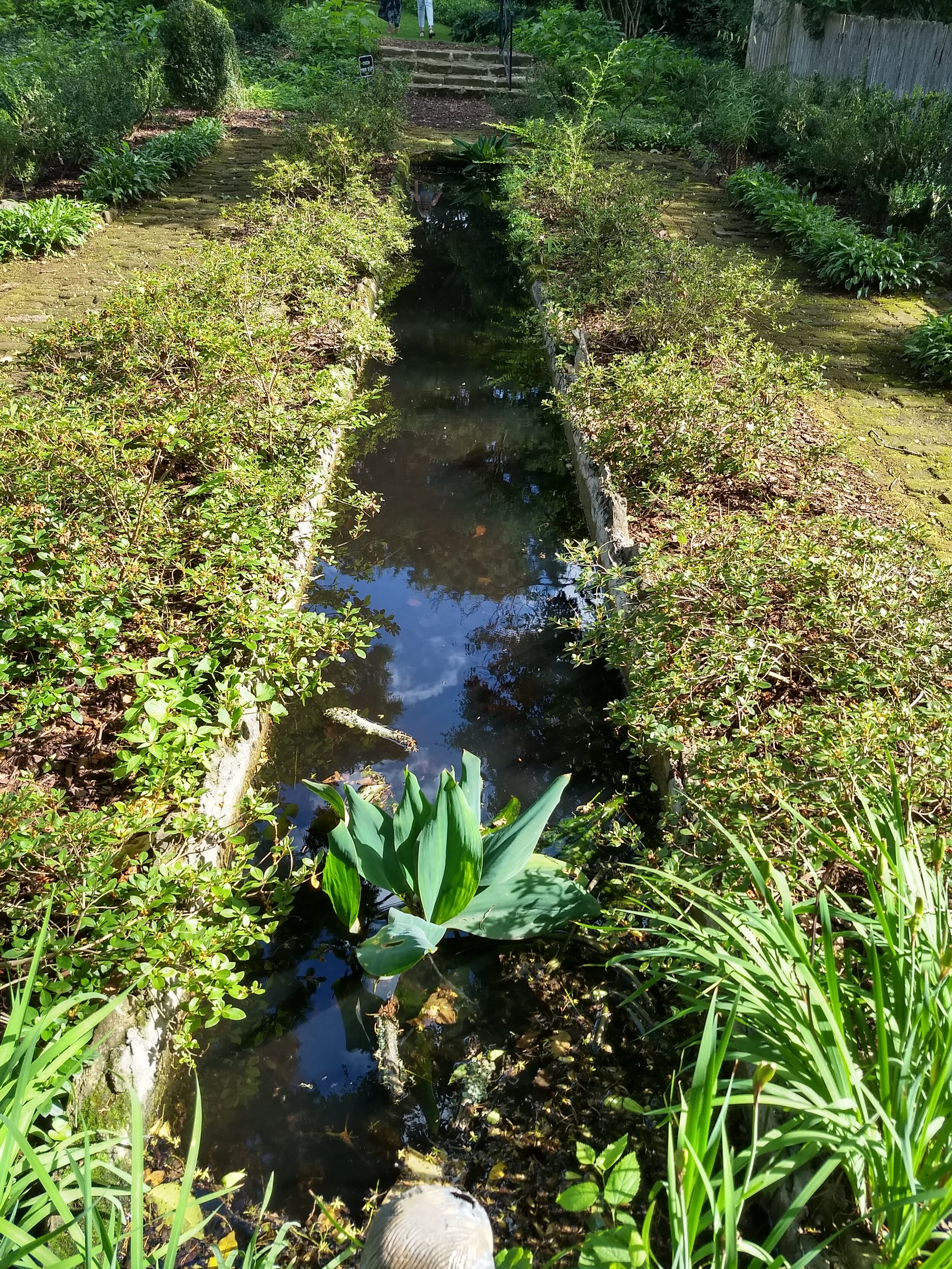 ReflectingPool.jpg