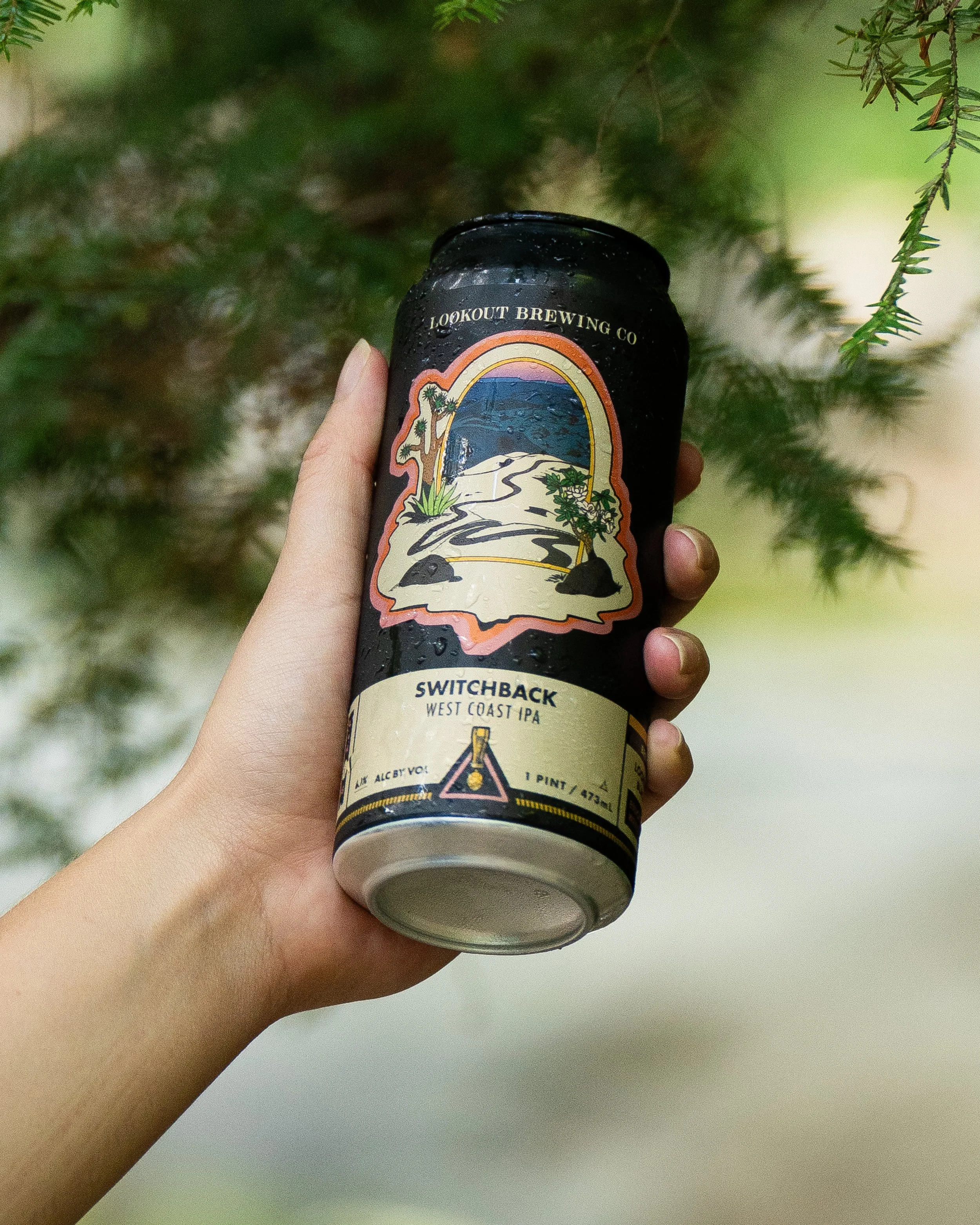 The West coast meets the East coast in this beer can design for Lookout Brewing