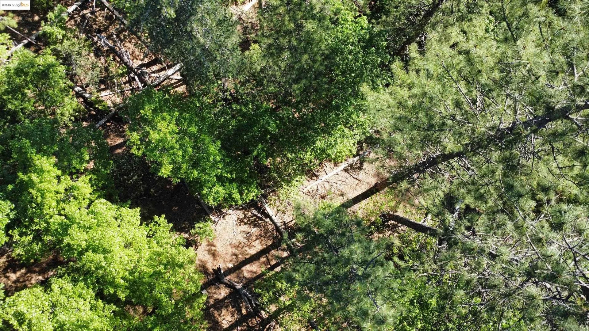 Off of South Oxbow Lane you will find a beautiful slice of heaven to build your cabin among the trees! Don't miss your chance to own part of this lush green forest and build a trail that is winding through the woods.
