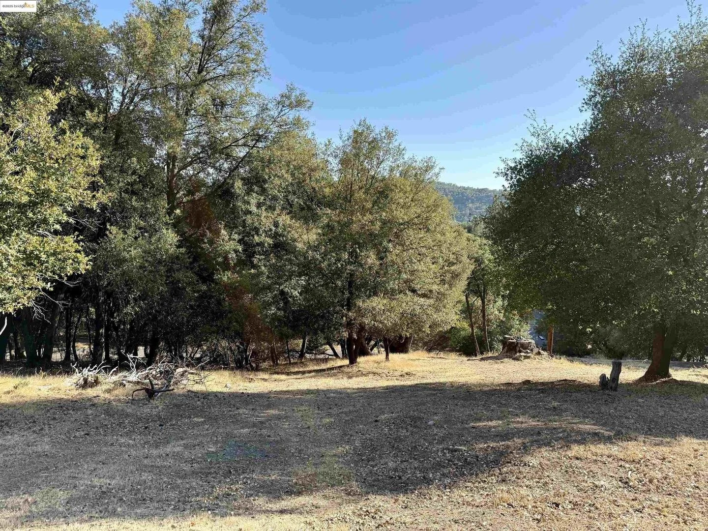 Off of Phoenix Lake Road in Sonora you can purchase and develop on this sunny and buildable lot! With beautiful views of the hills surrounding you, you'll never get tired of this scenery.