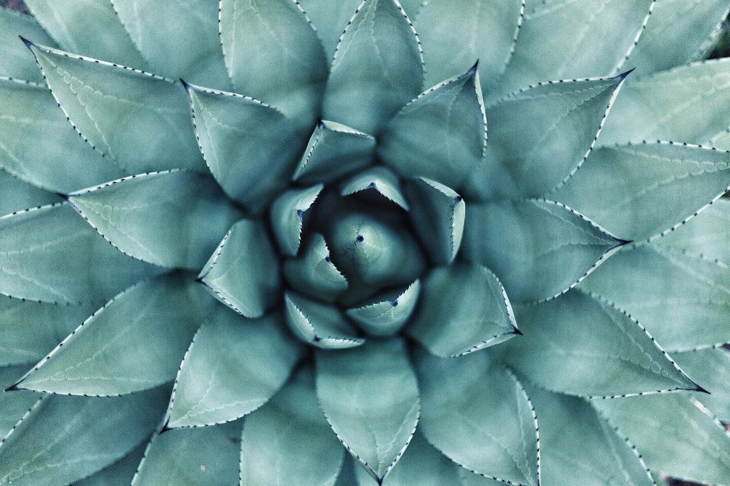 Los Angeles Sex Therapists and Los Angeles Couples Therapy