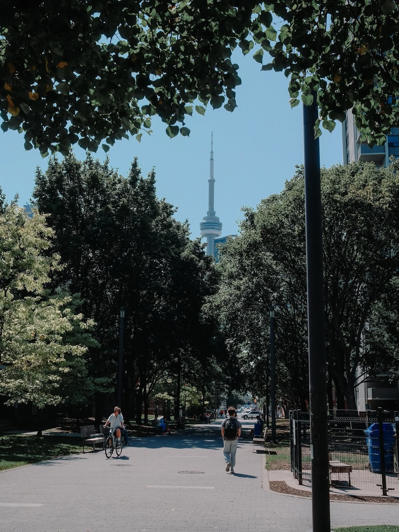 An incredible visit to Toronto with a strong focus on the art scene and culture. 

Will be back for sure! #toronto #streetphotography #cityscape