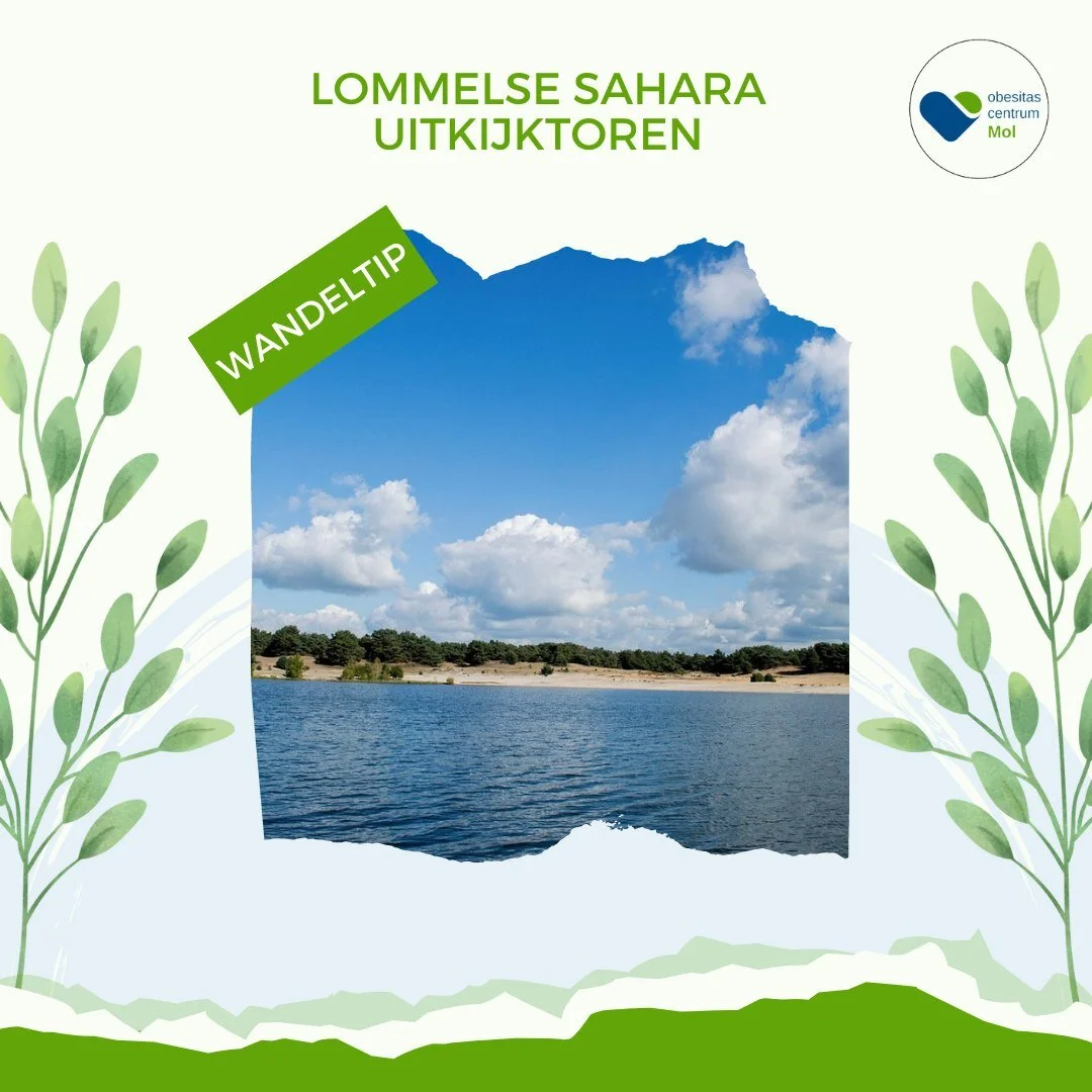 Wie de Lommelse Sahara eens vanuit de lucht wilt bekijken kan dat met eigen ogen vanaf de 30 meter hoge uitkijktoren. &lsquo;De Reus van Bosland&lsquo; ziet er niet alleen erg imposant uit, maar geeft ook een indrukwekkend zicht op de Lommelse omgevi
