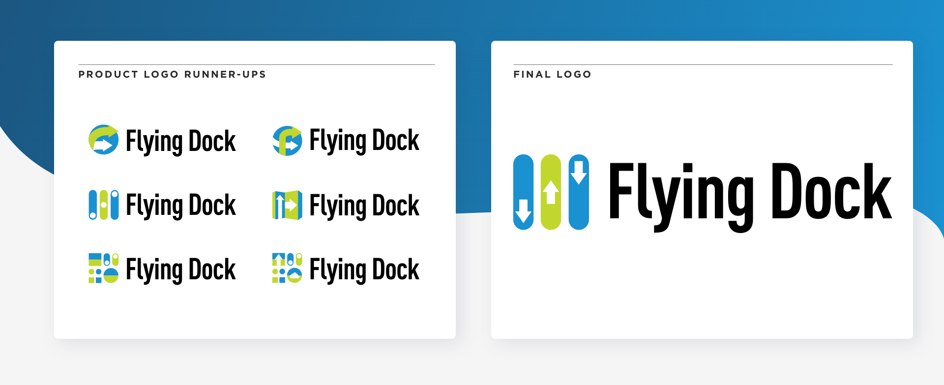 Flying Dock Logo.png