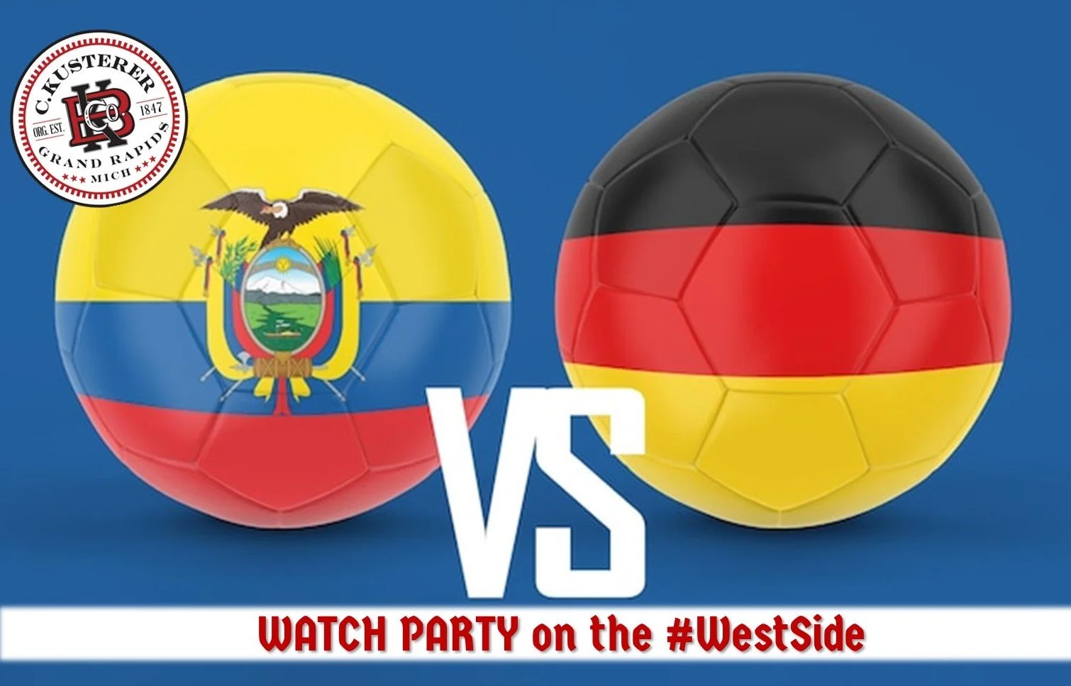 Germany vs. Ecuador