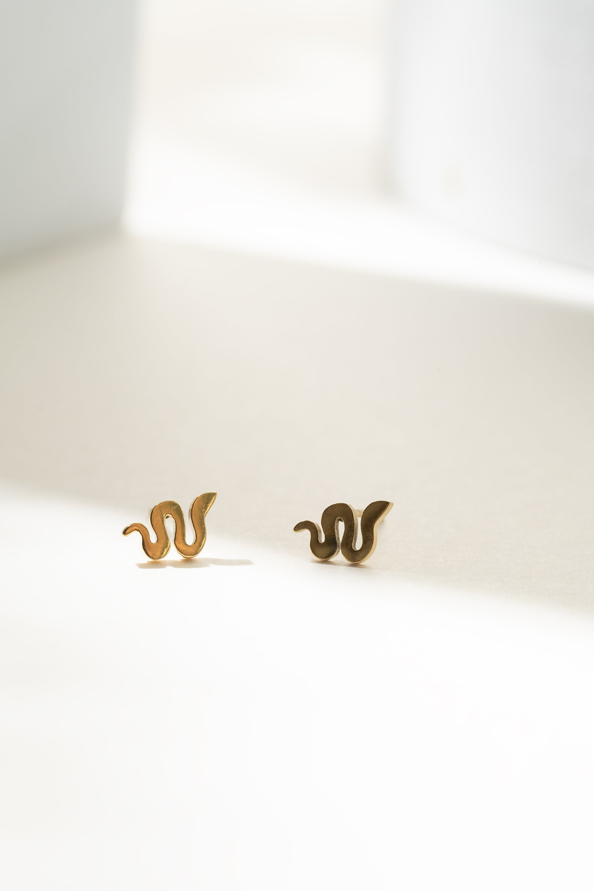 CL109954_Fomat WEB.jpg