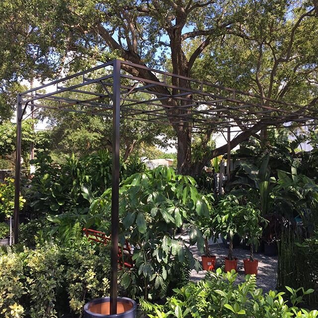 Very soon a new nursery will open in Miami, 🌿@mimogardencenter 🌿in the hands of an expert and plant loving team.  We are happy to help you in this venture and we wish you much success. 👏🏻👏🏻👏🏻👏🏻 .
.
.
.
.
.
.

#orchids
#plantstand
#greenhous