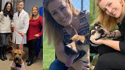  Shelter Animal Advocates of the Year Contest