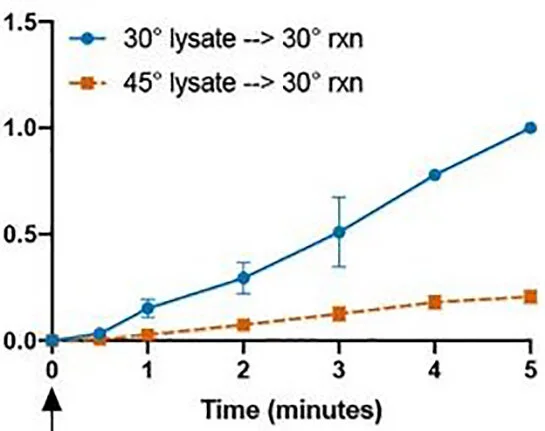 Adjusted - Viscoadaptation.jpeg