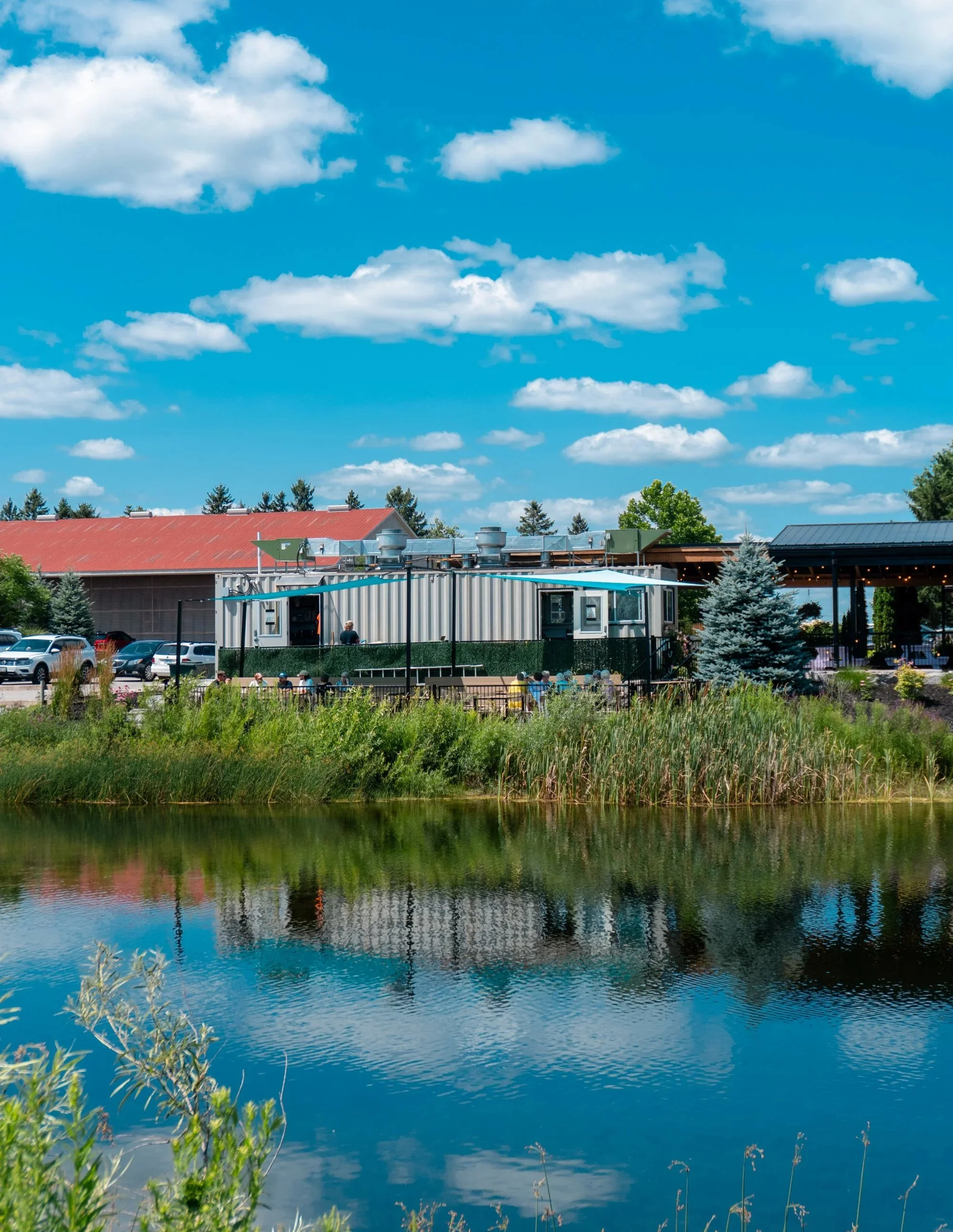 A serene landscape with a body of water in the foreground, surrounded by green plants and trees, reflecting the blue sky and white clouds above, with buildings and more trees in the background.