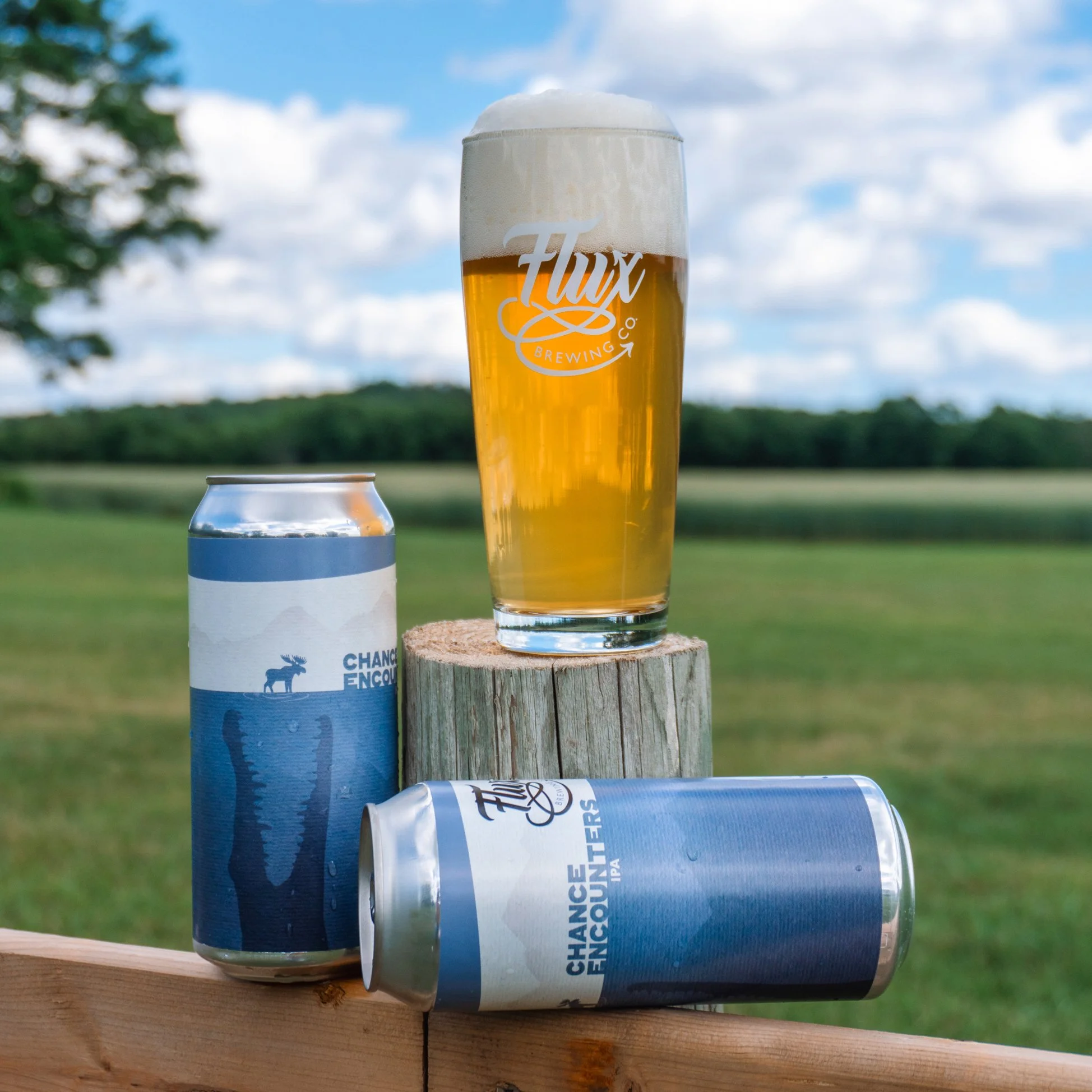 Chance Encounters IPA