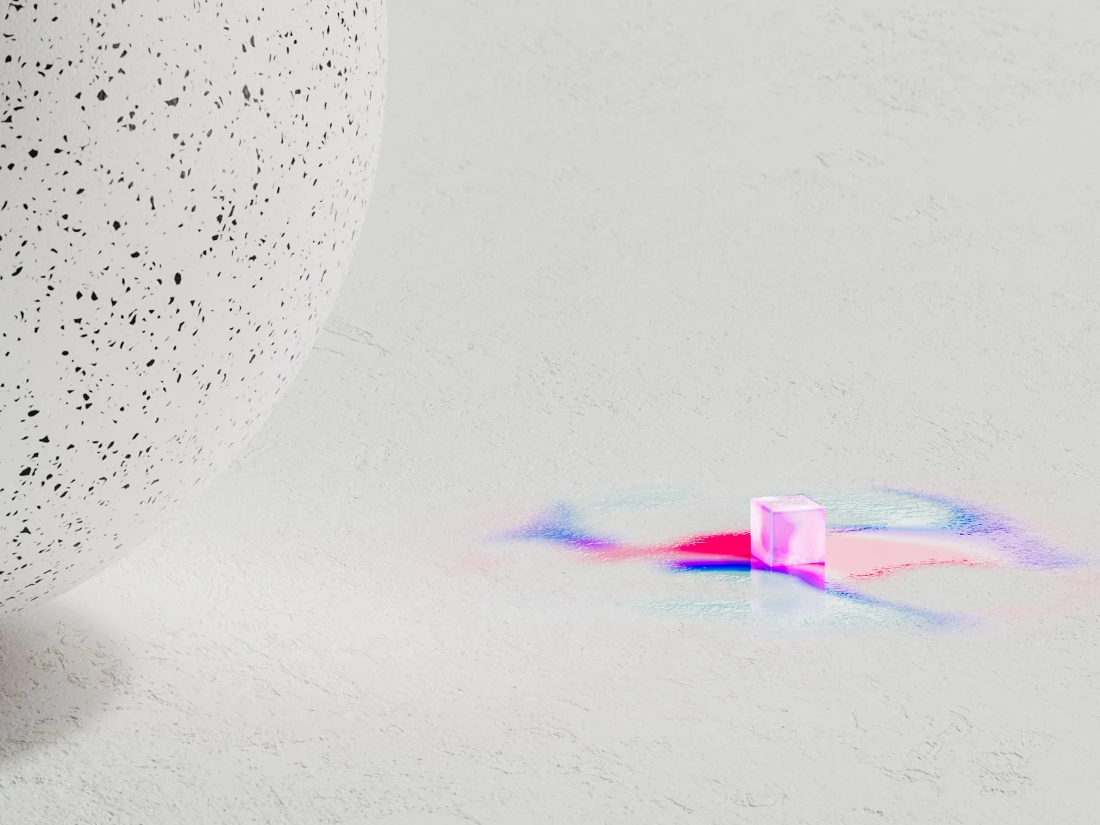 Conor Rafferty | MSU Denver Art | BFA Thesis