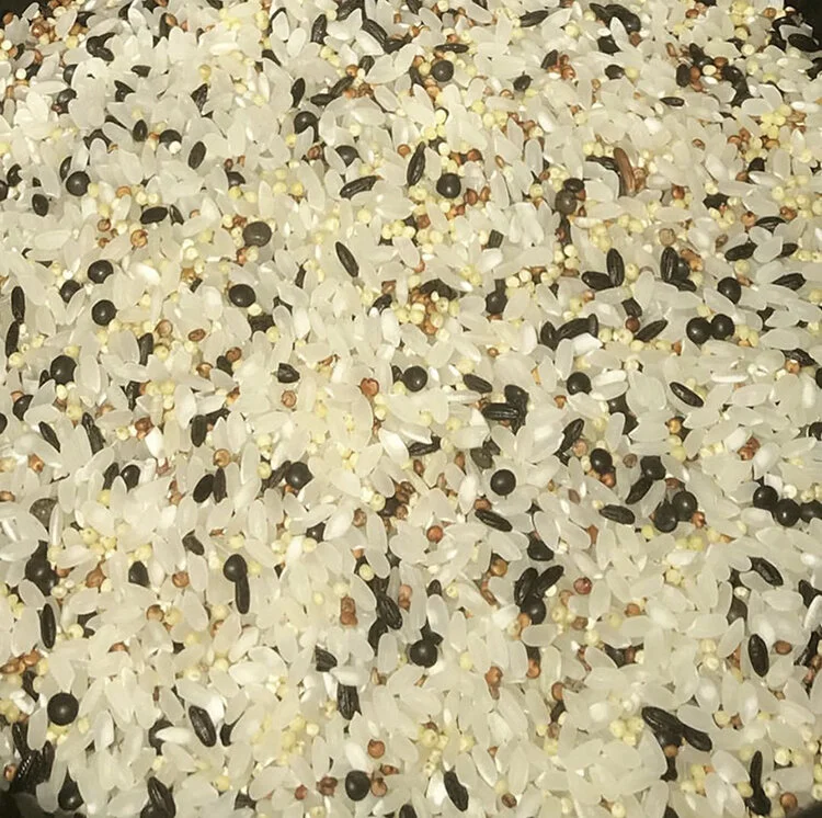 instant pot multigrain rice