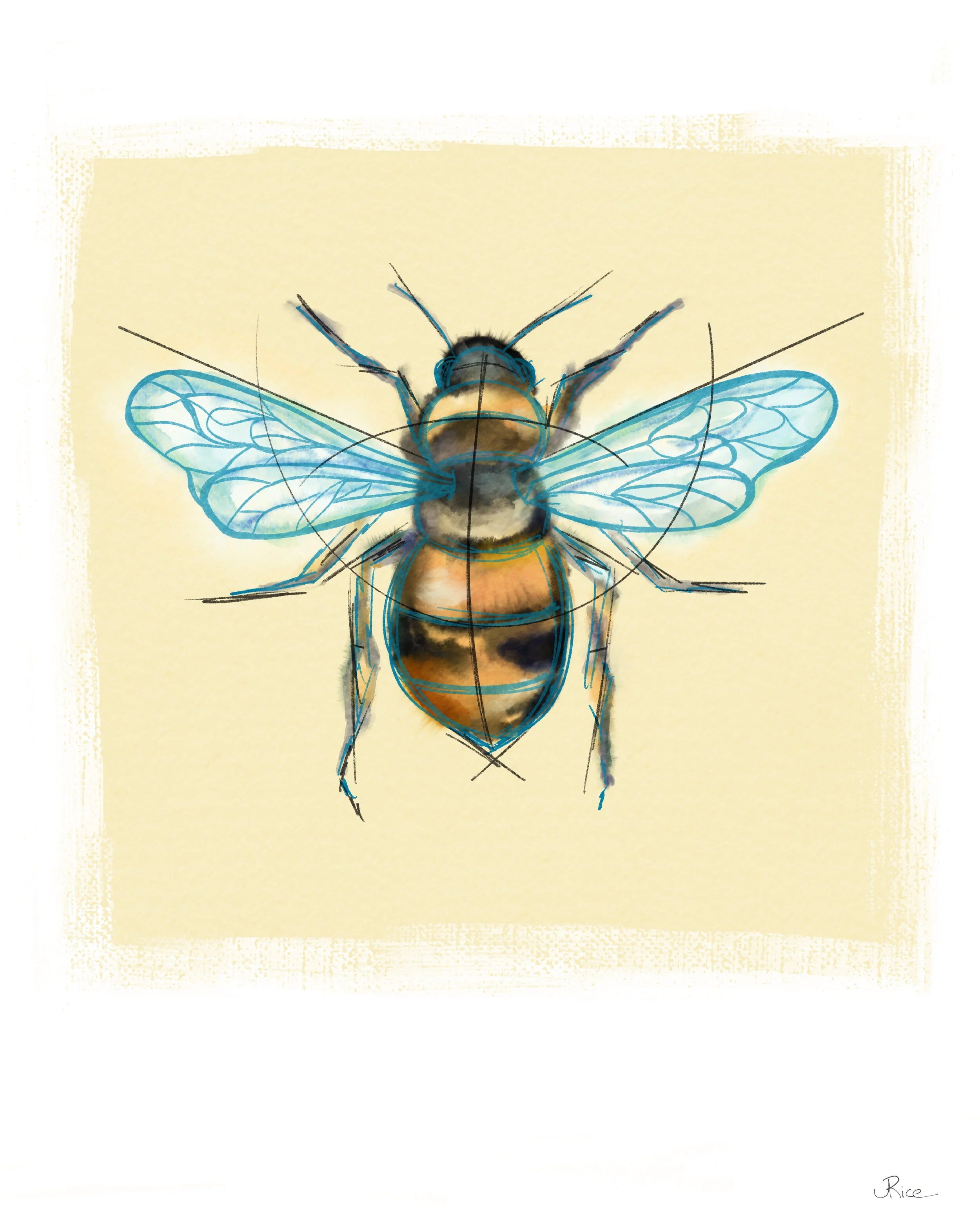 Bee copy.JPG