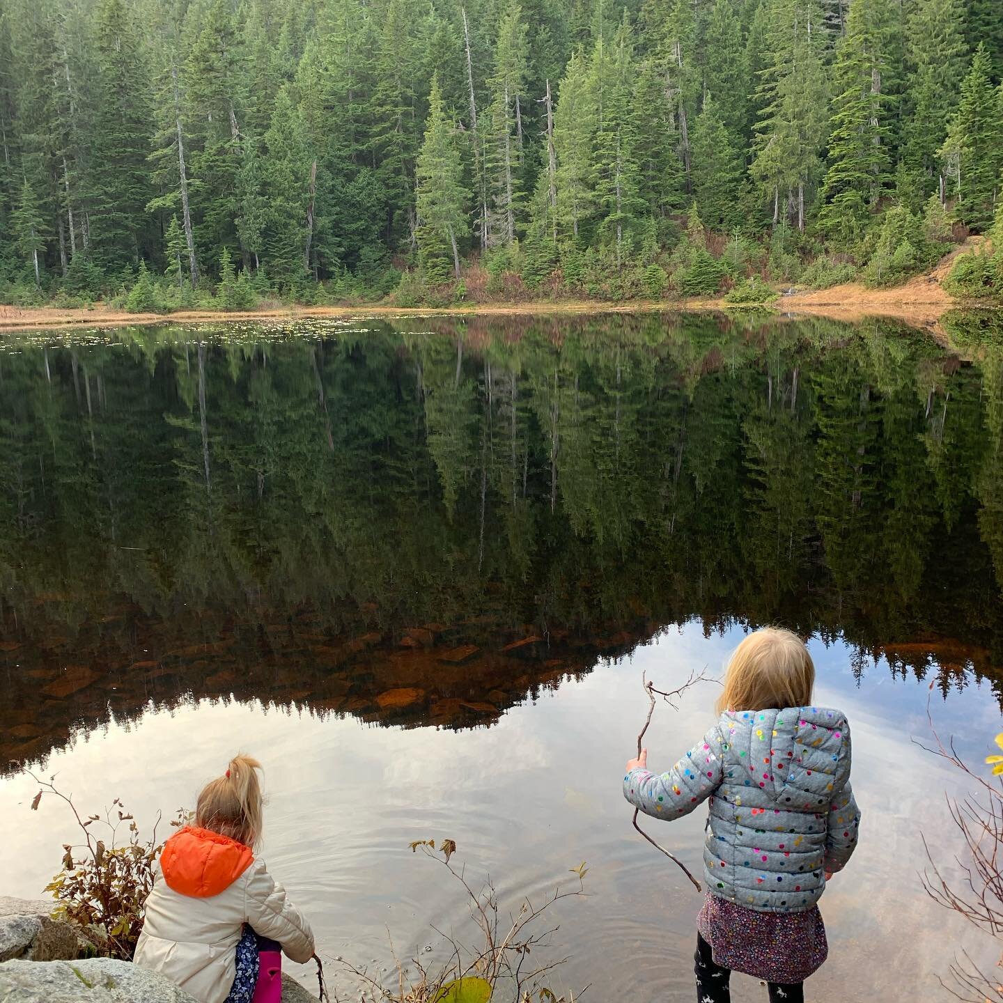 Nature is my church. My therapy. My meditation. My embodiment practice. My joy. My respite. My grounding. My peace. My partner in grief and celebration. And my reflection pond. I cherish these magical reflection moments so much, especially when share