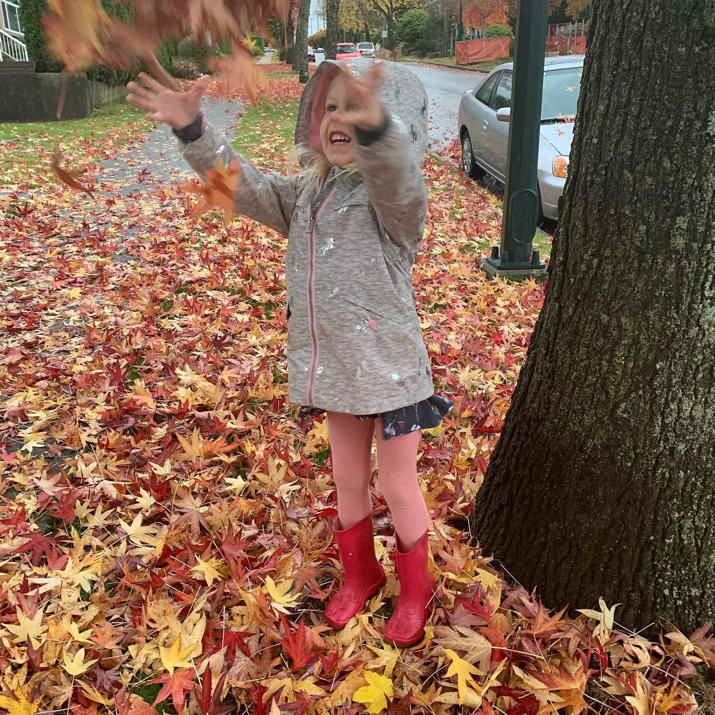 Fall magic... the seasons transition, just as we do. We can hide inside as we watch the leaves fall, or put on pink rubber rain boots and throw leaves in the air. Neither is bad or wrong. It&rsquo;s simply good to remember we always have a choice. 🧡