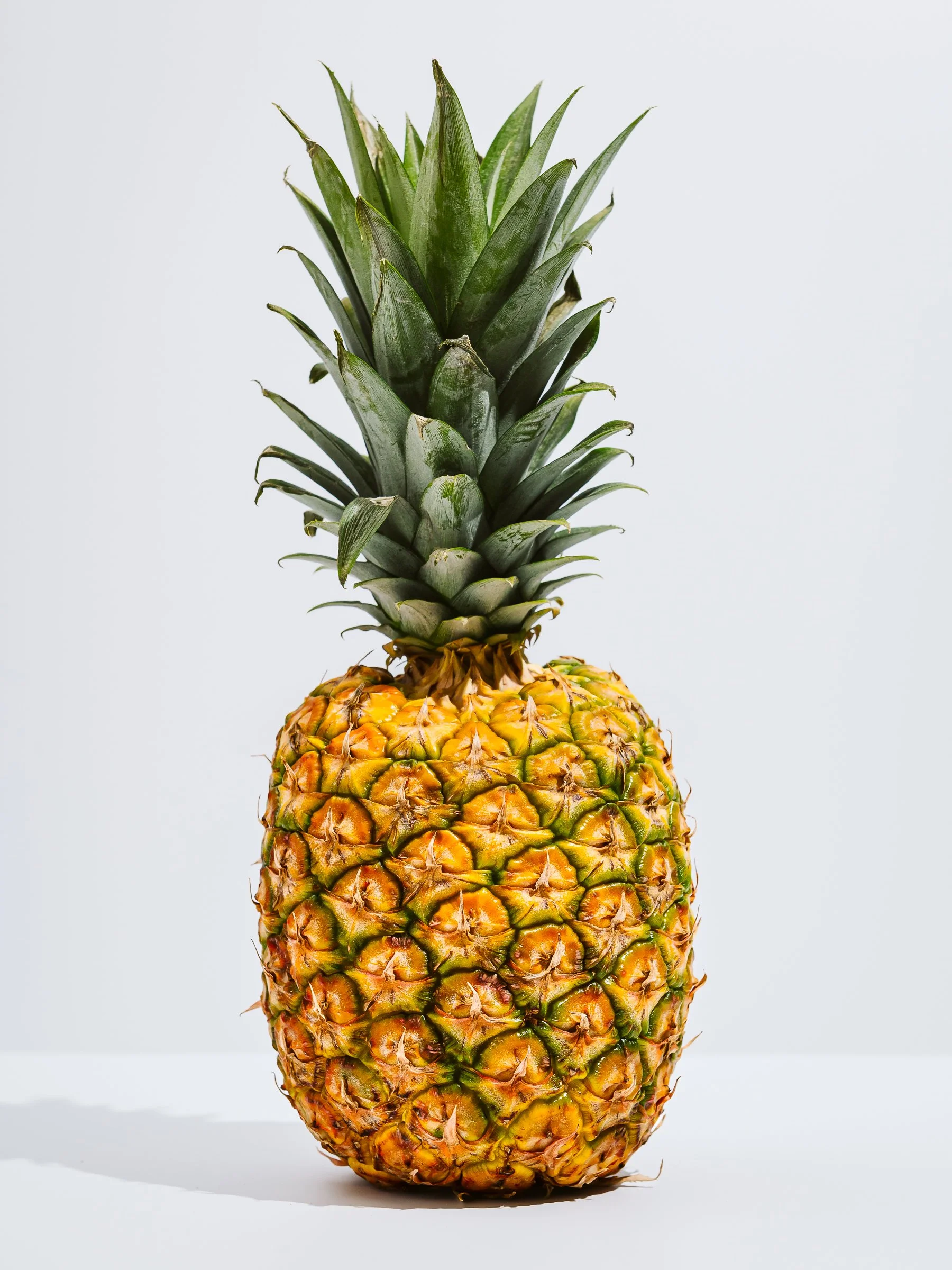 Fine Art: Pineapple